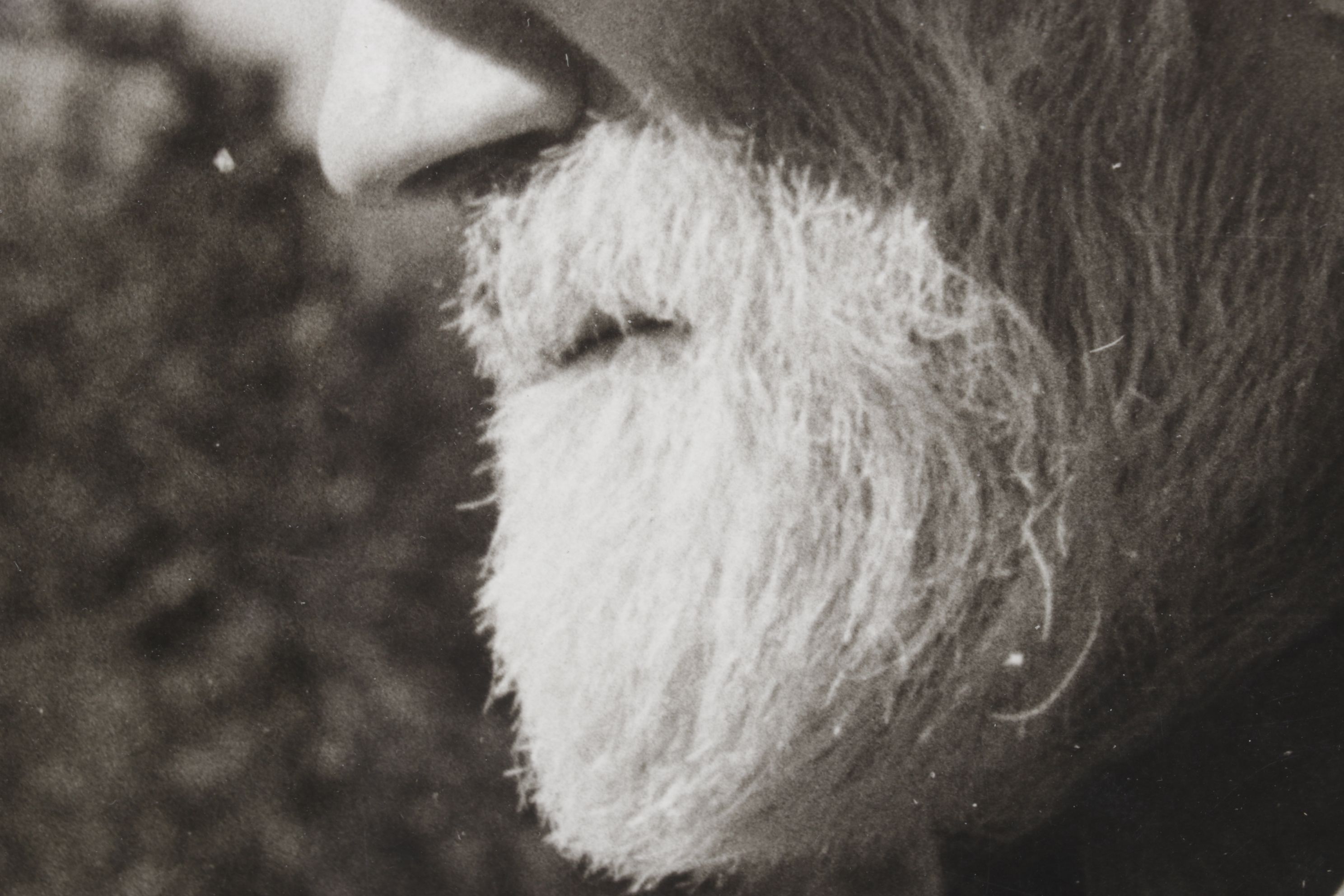 Arthur Rothstein Portrait Photograph "William Austin Brown", Early 21st Century