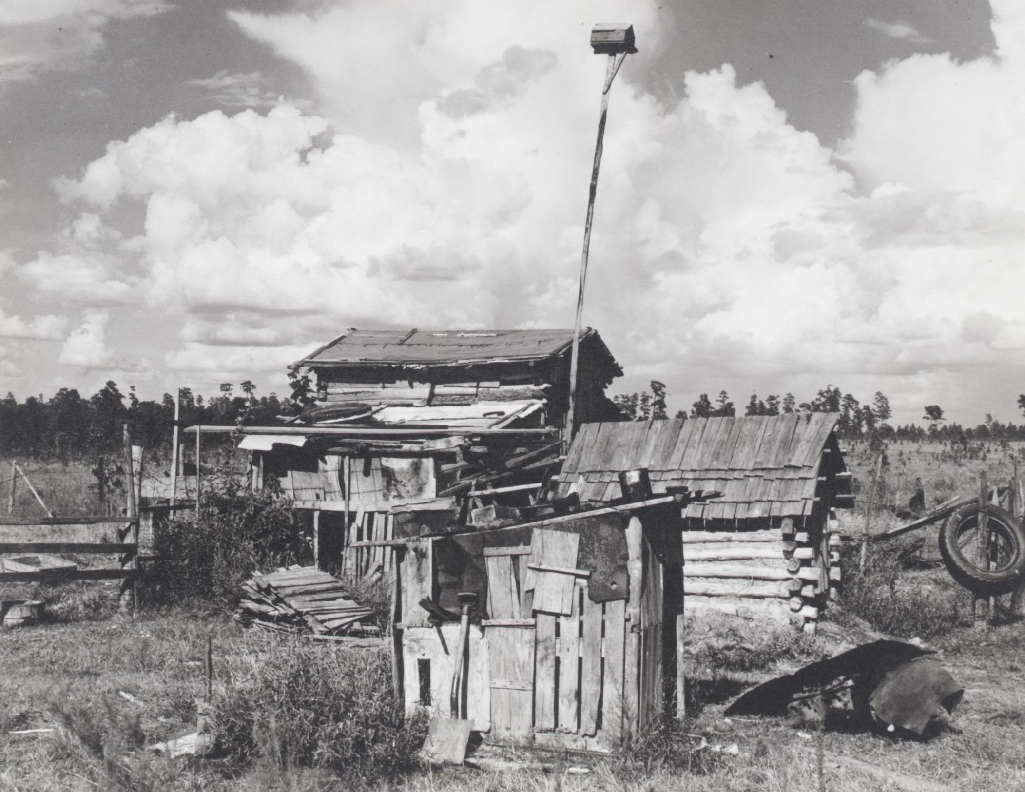 Dorothea Lange Landscape Photograph "Sharecropper's Cabin", Early 21st Century