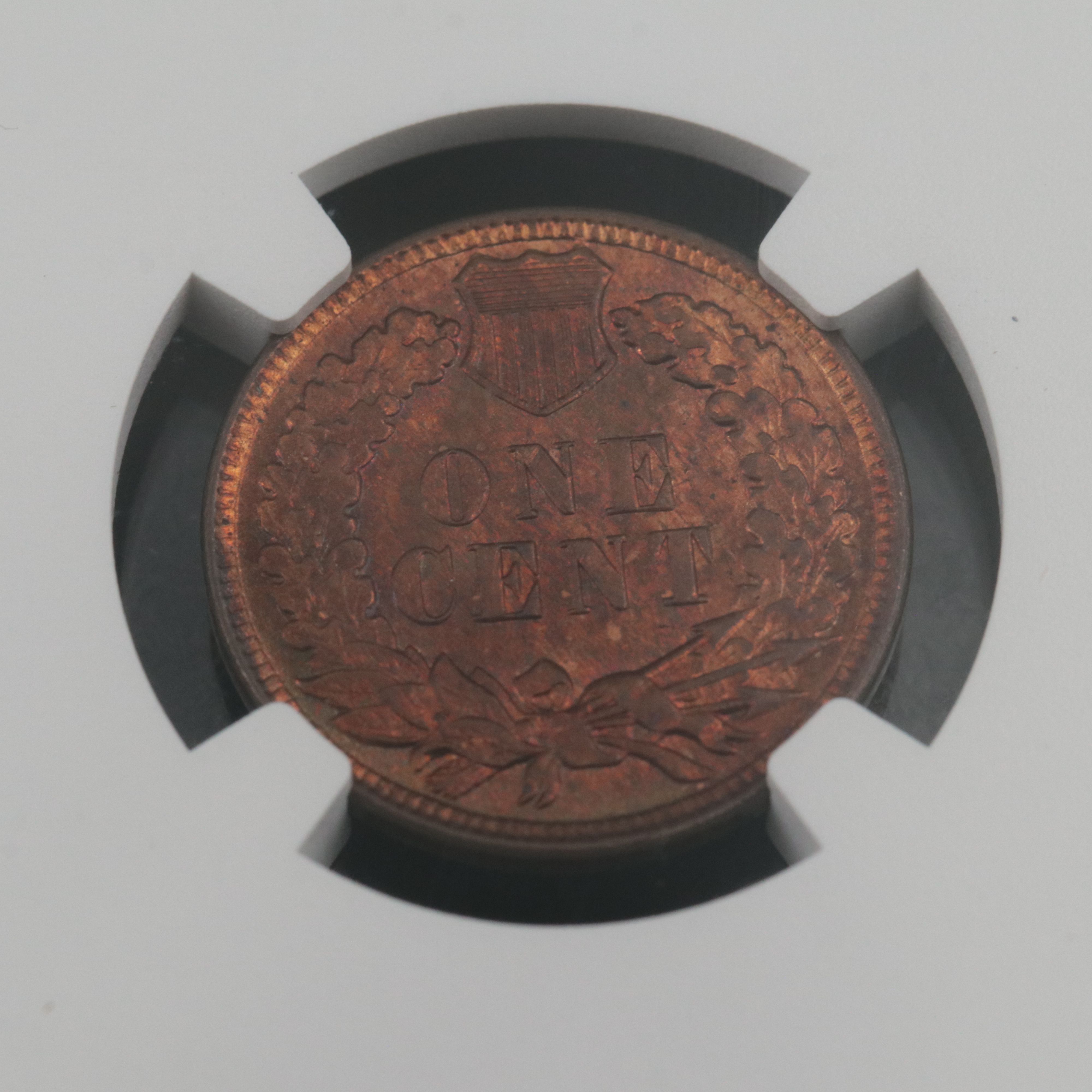 NGC Graded MS63 RB 1908 Indian Cent