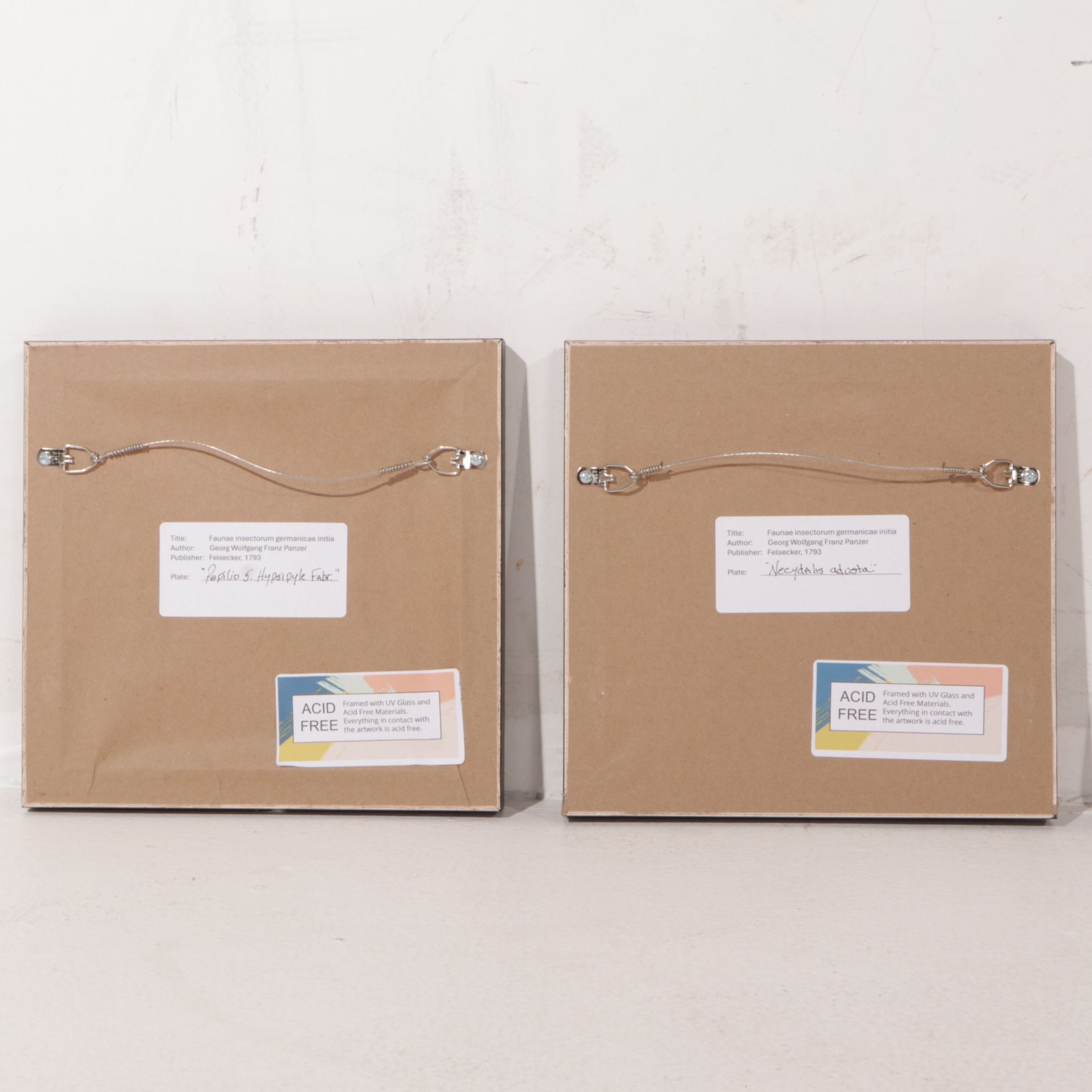 Antique German Hand-Colored Entomological Engravings, Circa 1793