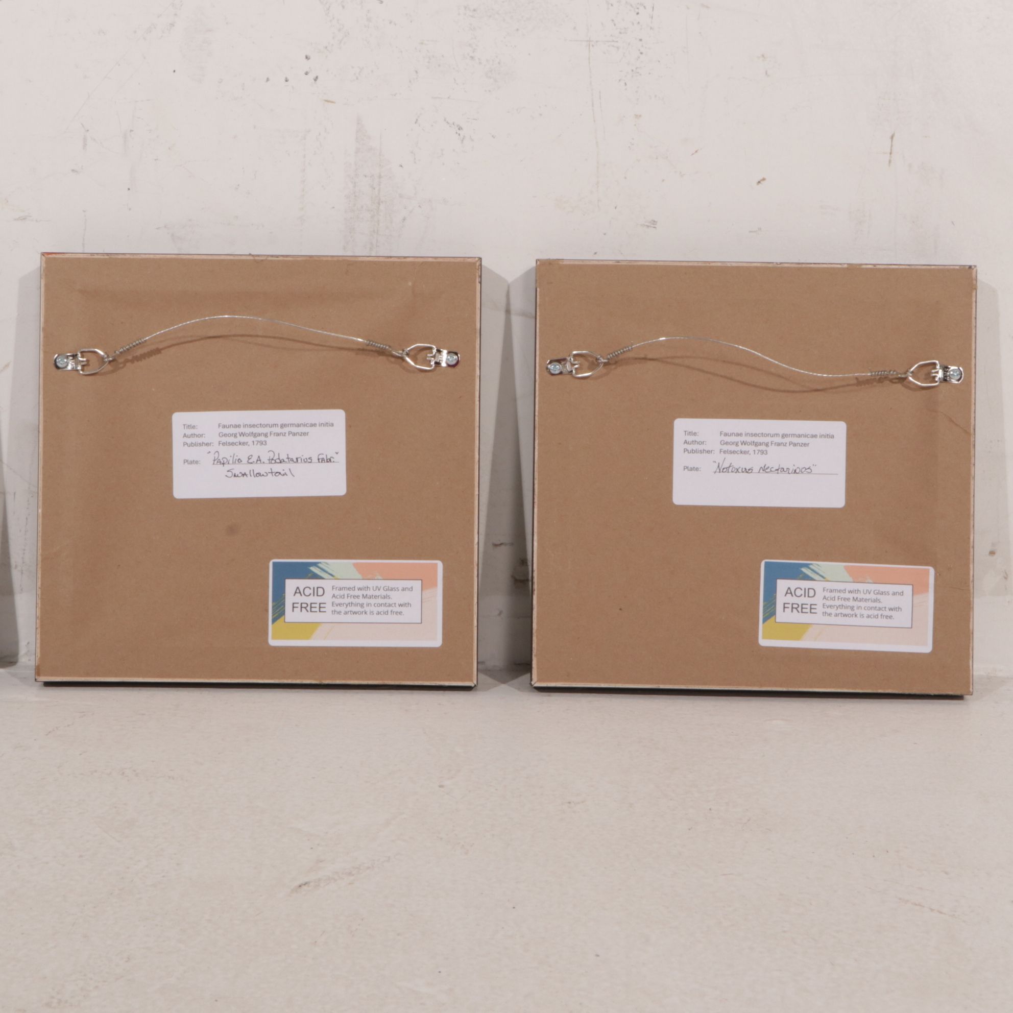 Antique German Hand-Colored Entomological Engravings, Circa 1793