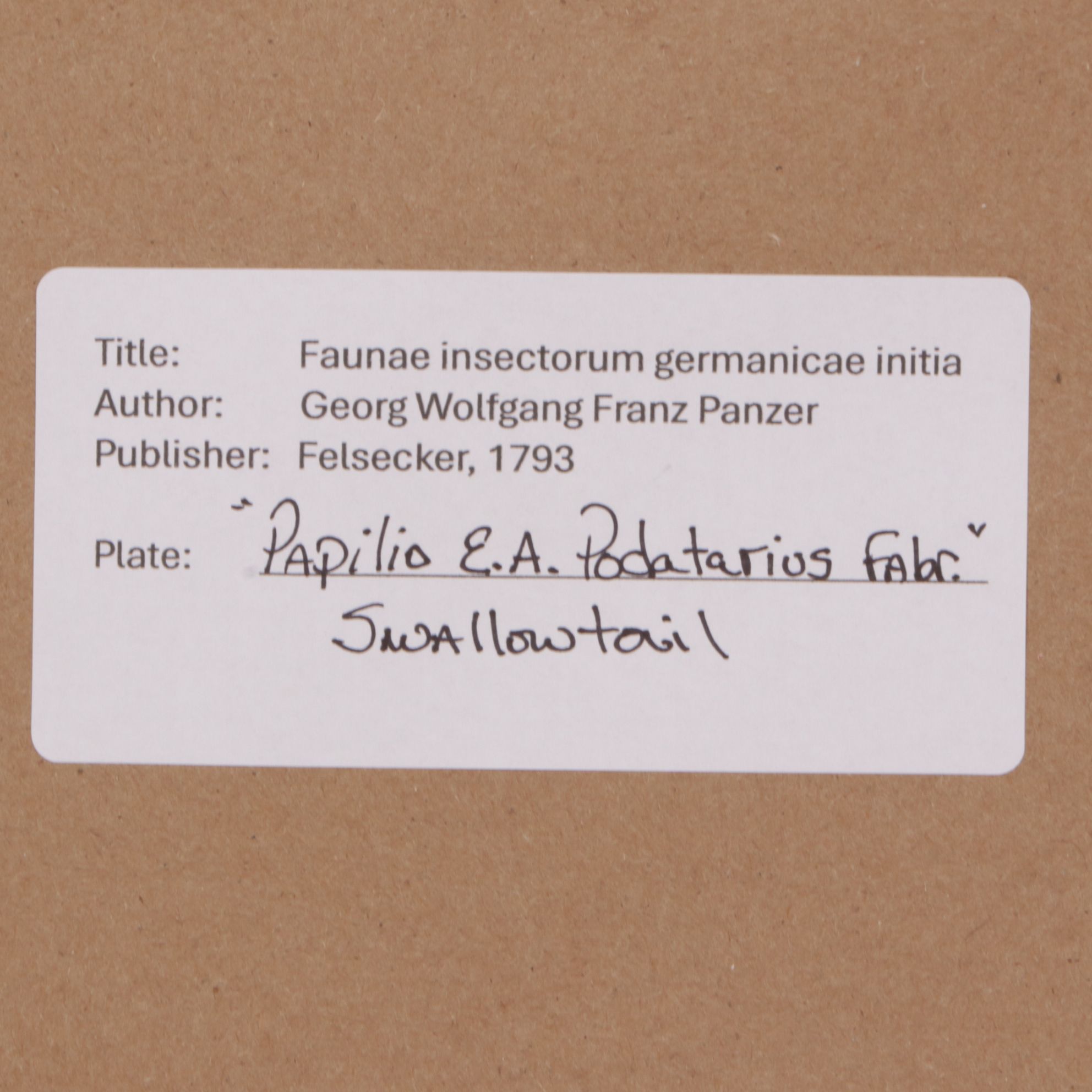 Antique German Hand-Colored Entomological Engravings, Circa 1793