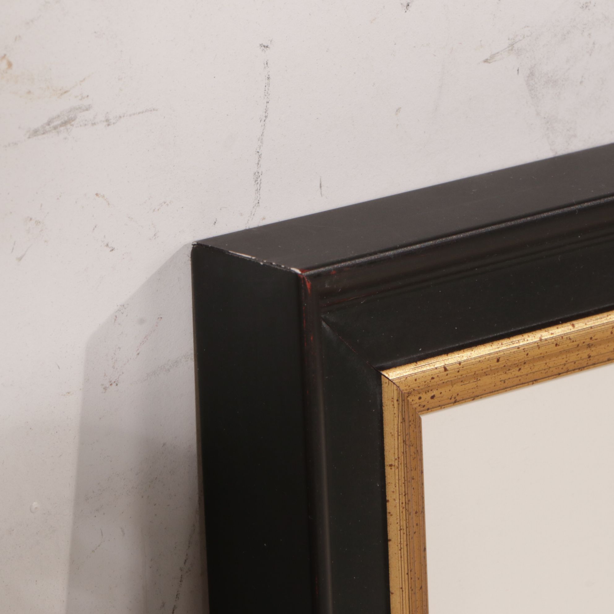 Antique German Hand-Colored Entomological Engravings, Circa 1793