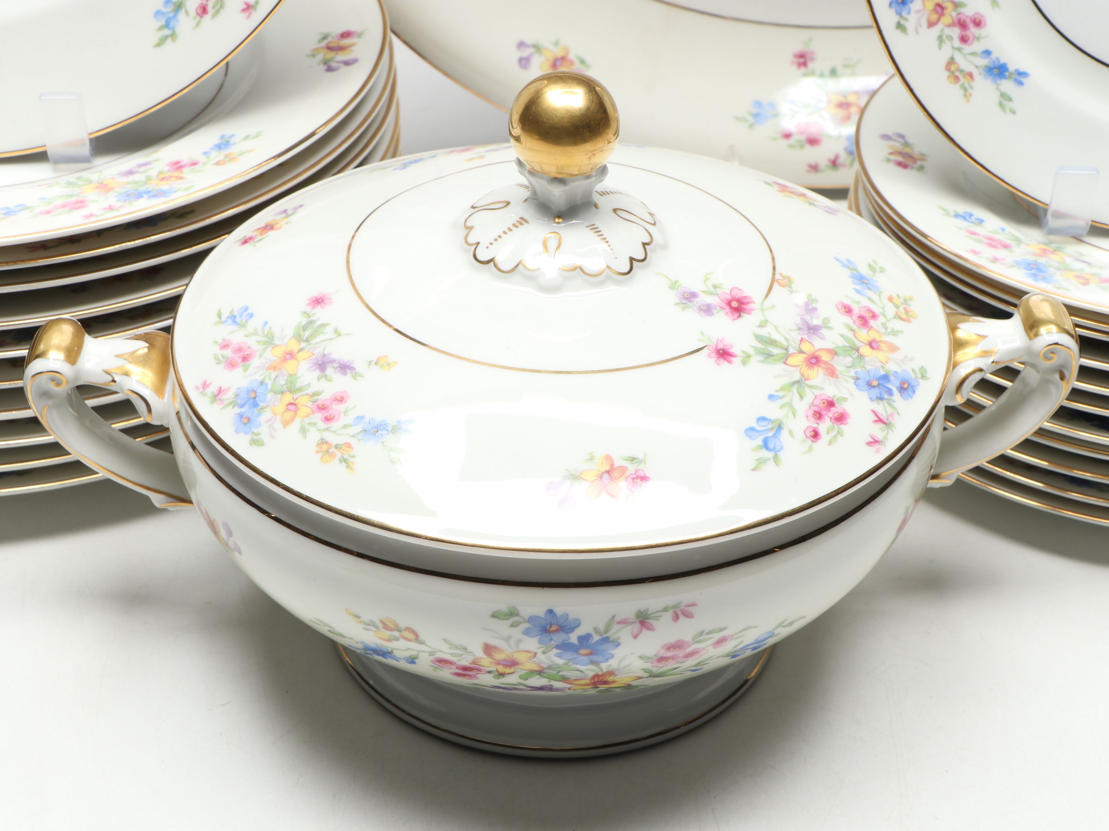 Heinrich & Co. Floral Porcelain Dinnerware
