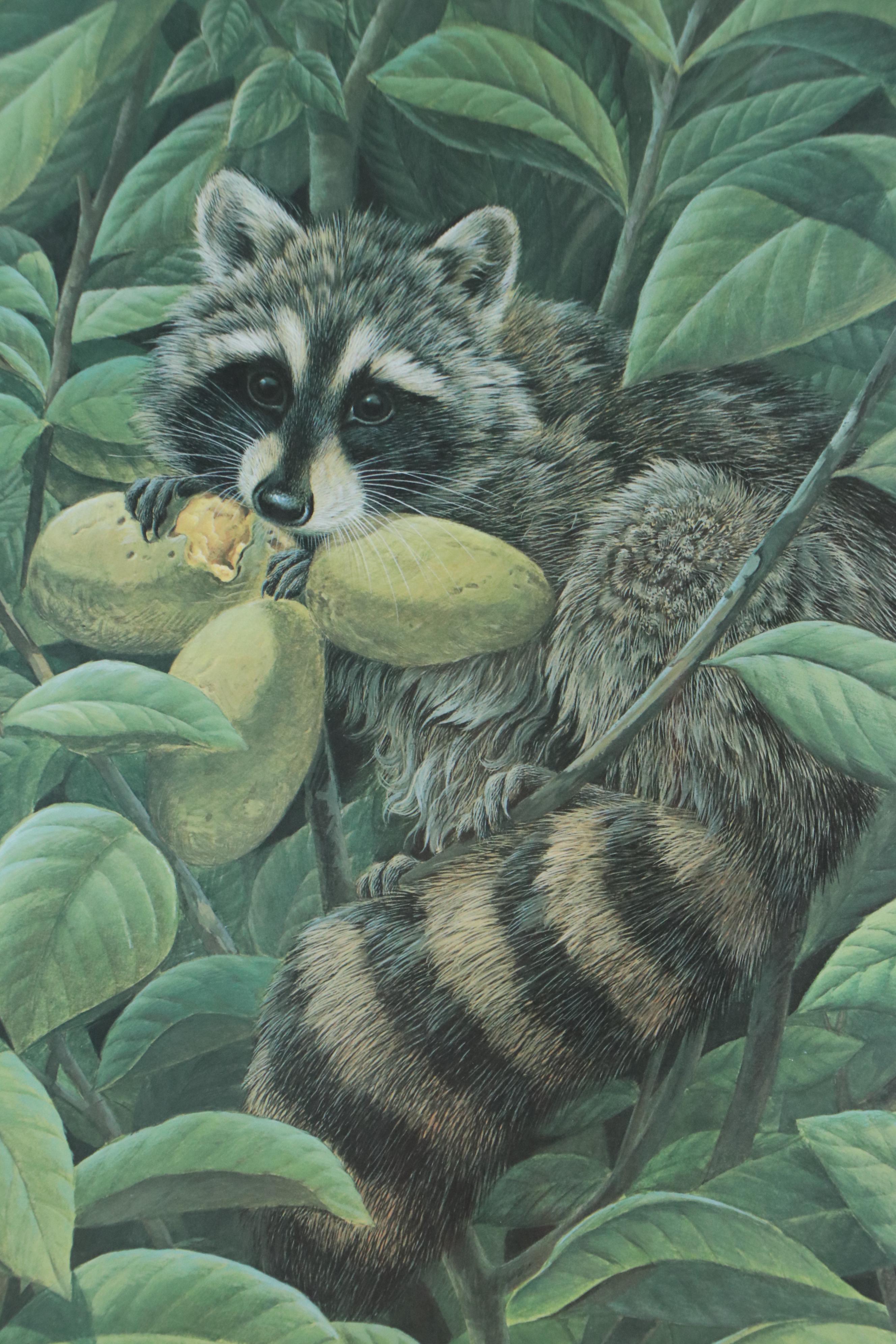 John A. Ruthven Offset Lithograph "Papaw Bandit," 1983