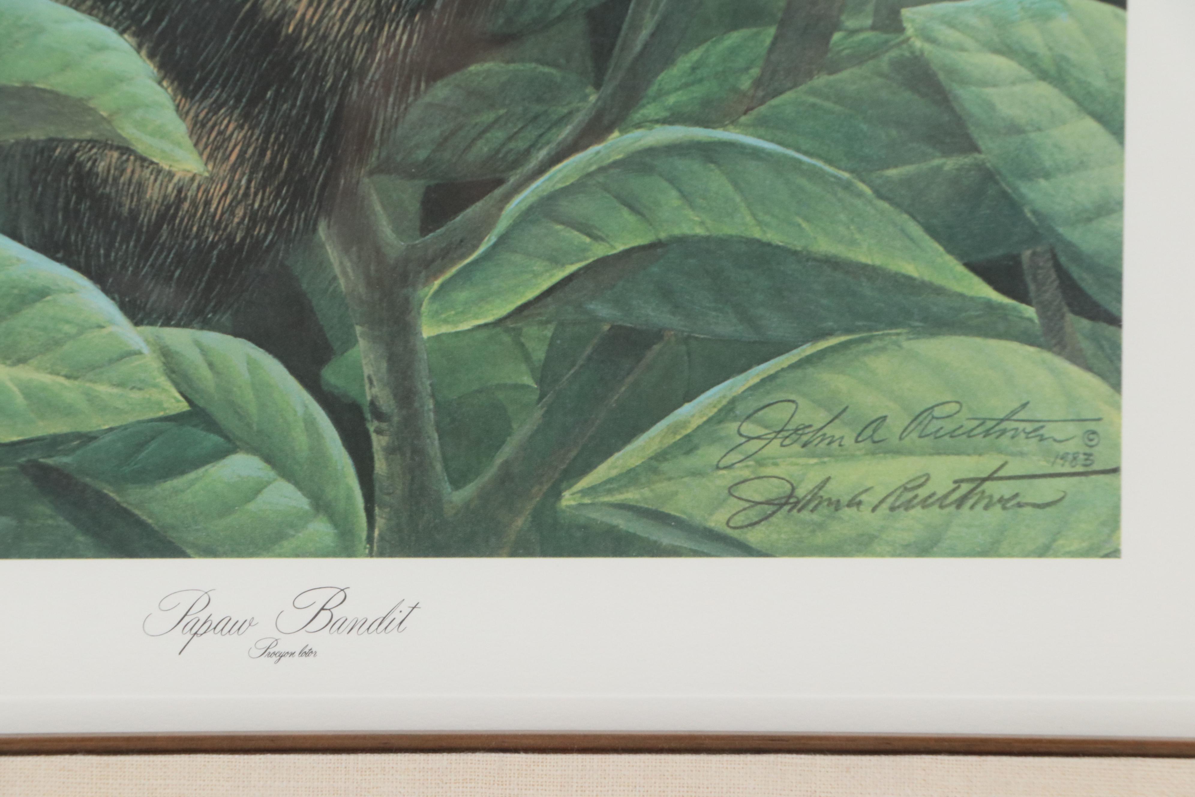 John A. Ruthven Offset Lithograph "Papaw Bandit," 1983