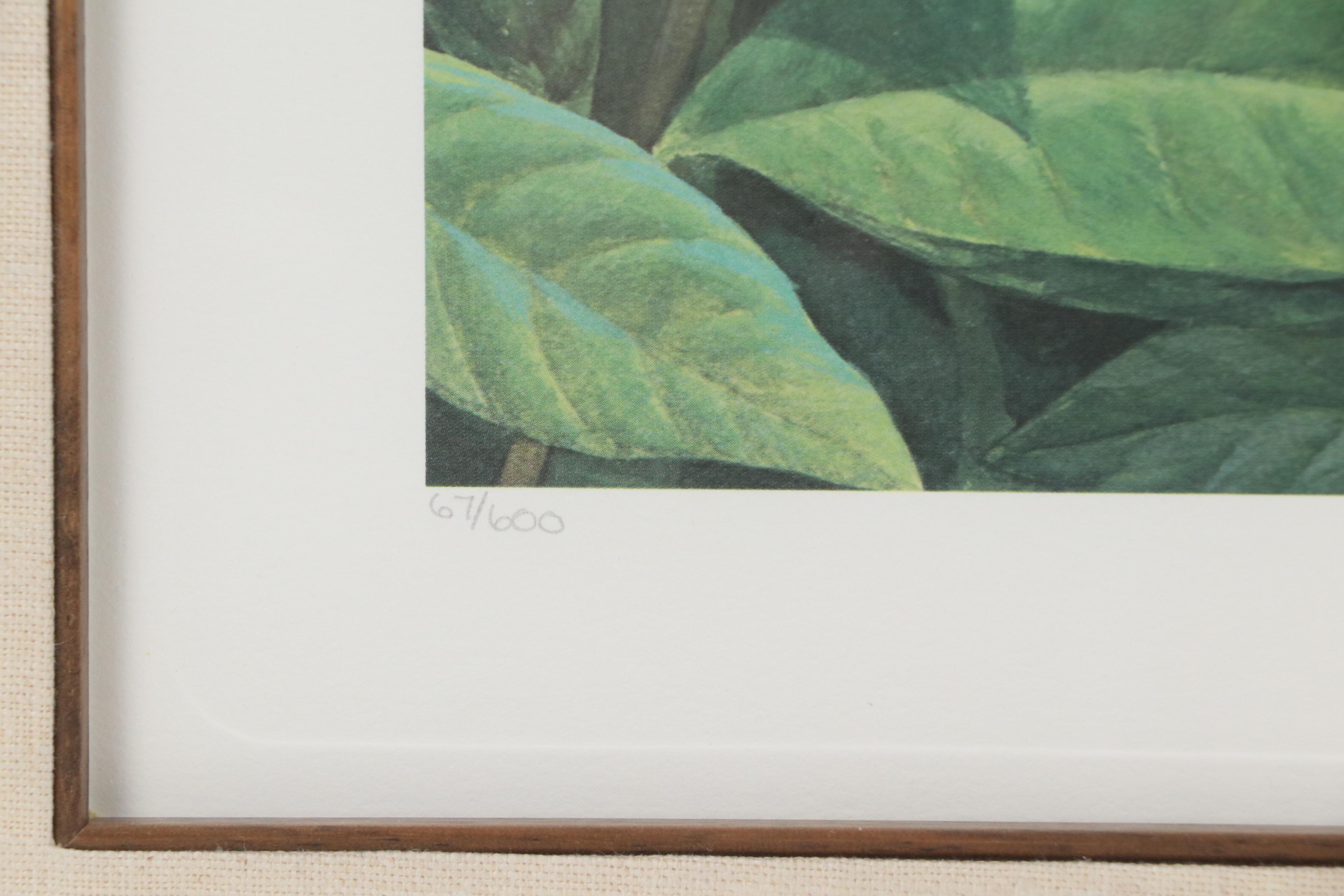 John A. Ruthven Offset Lithograph "Papaw Bandit," 1983