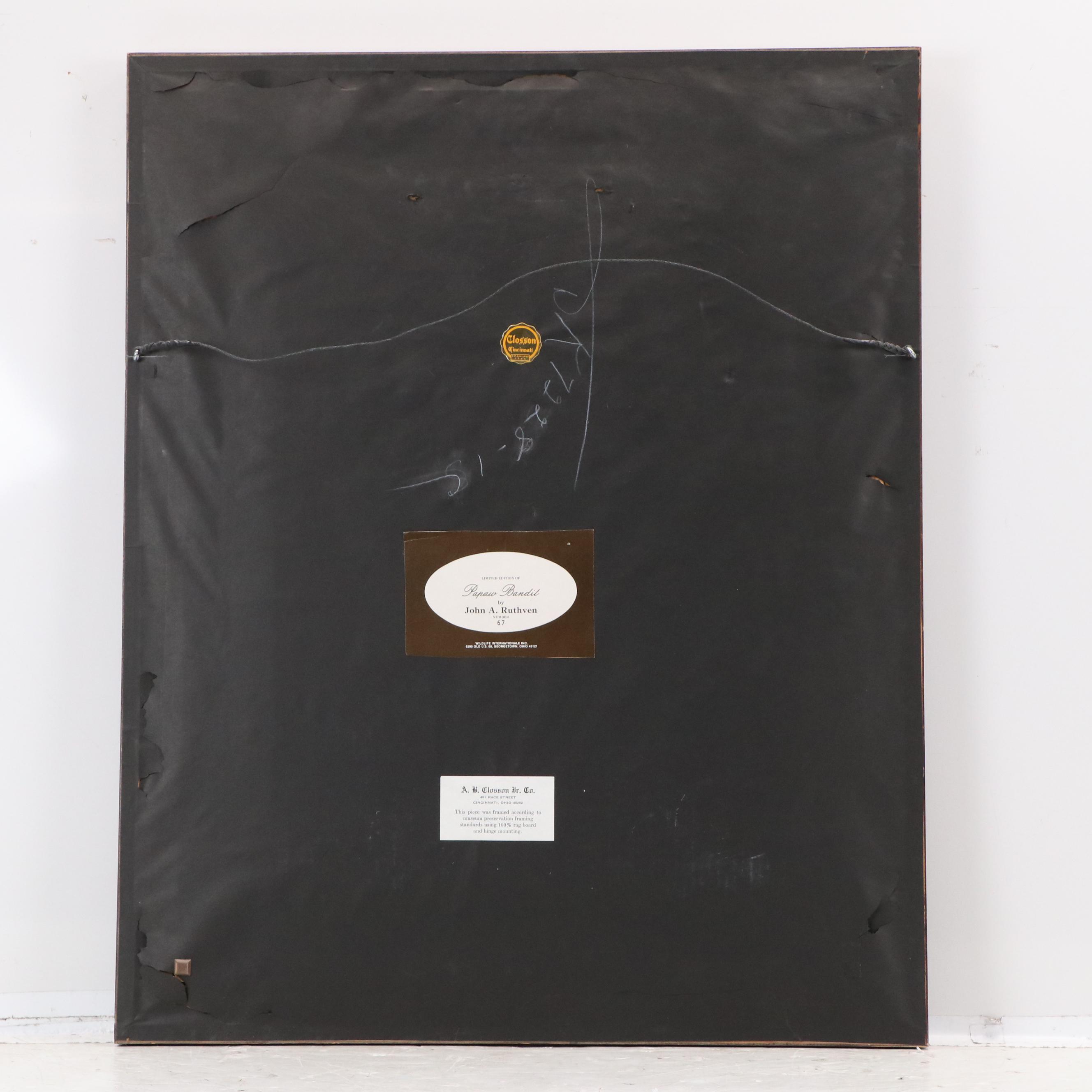 John A. Ruthven Offset Lithograph "Papaw Bandit," 1983