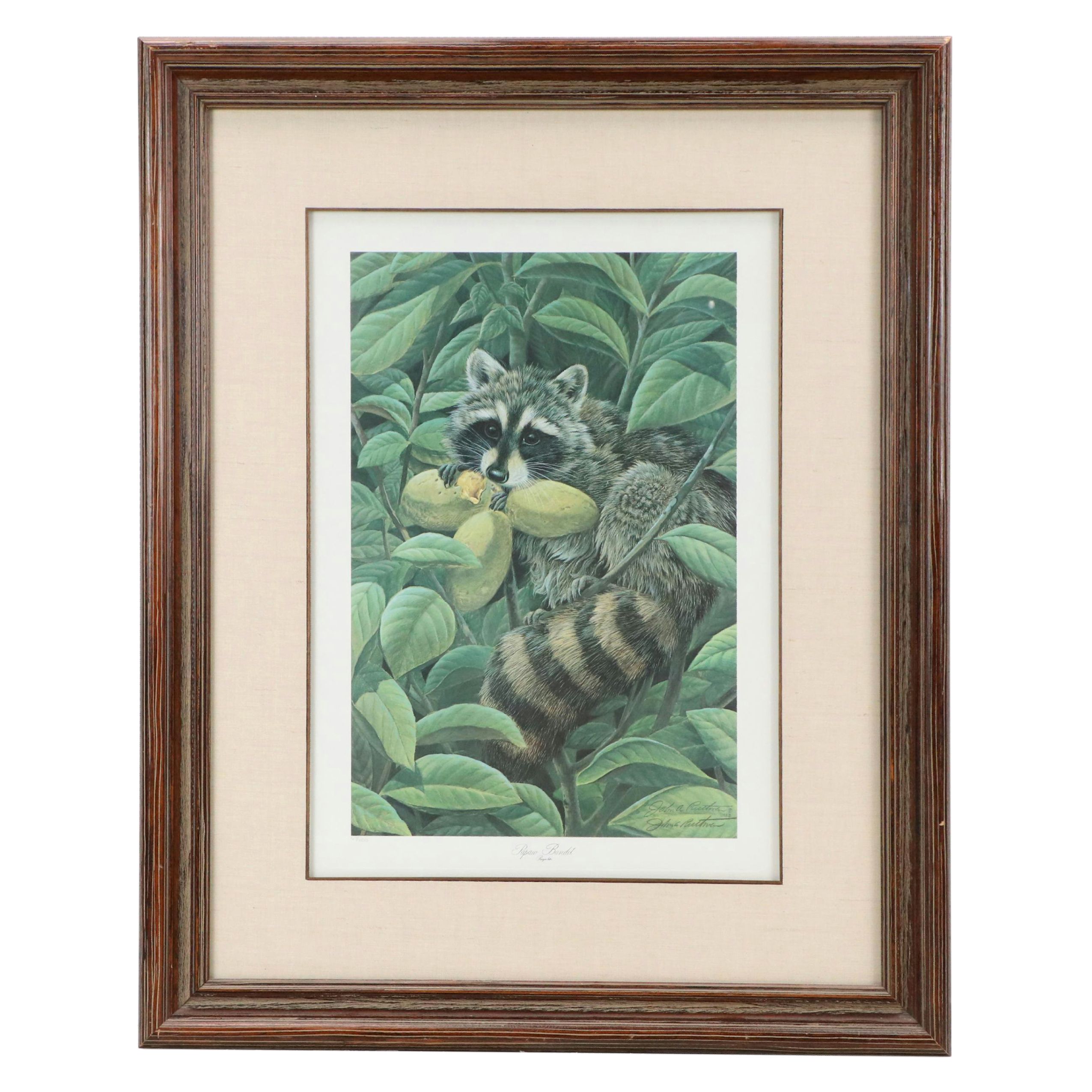 John A. Ruthven Offset Lithograph "Papaw Bandit," 1983