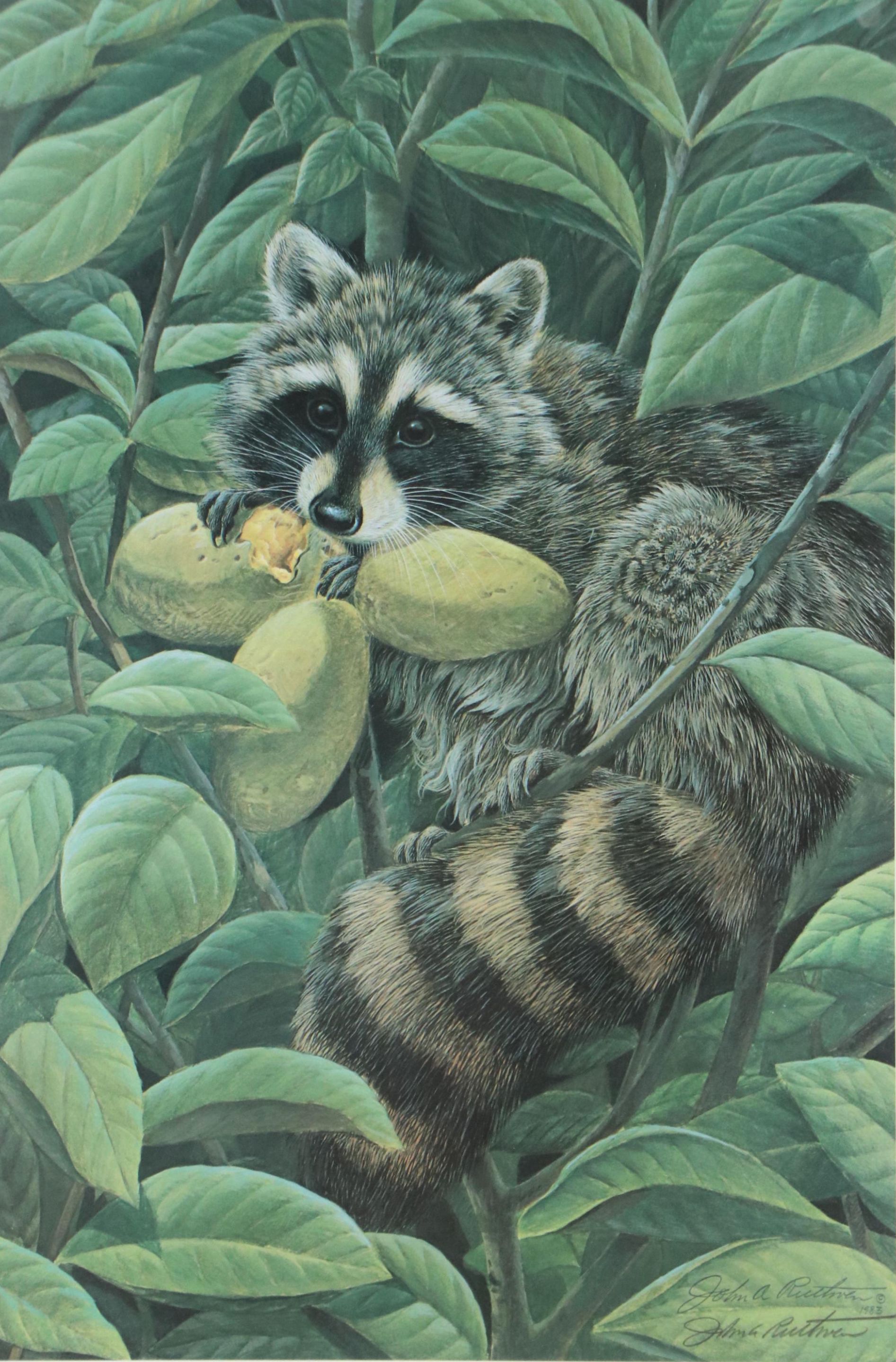 John A. Ruthven Offset Lithograph "Papaw Bandit," 1983