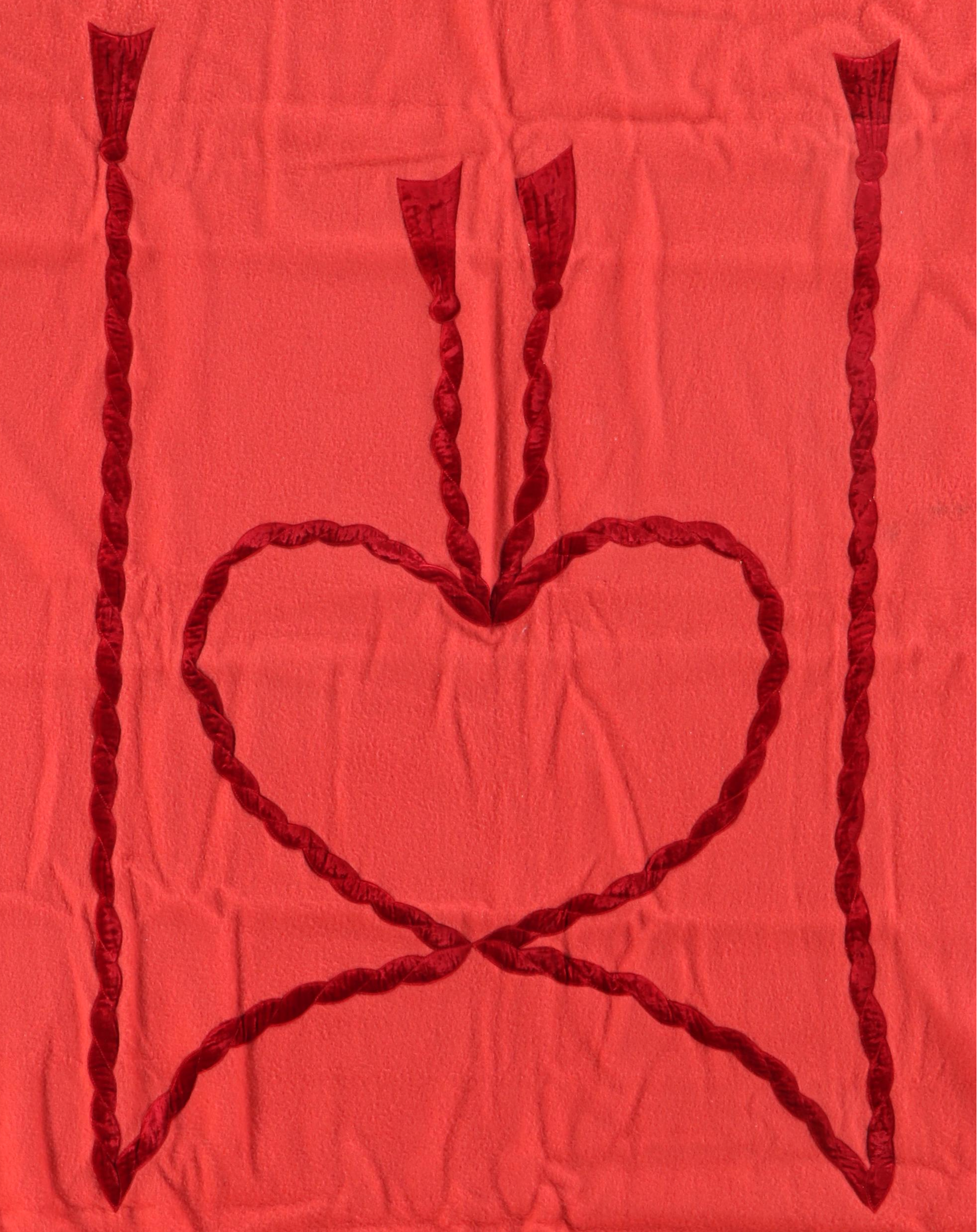 Pair of Victorian Style Velveteen Trimmed Wool Blend Blankets