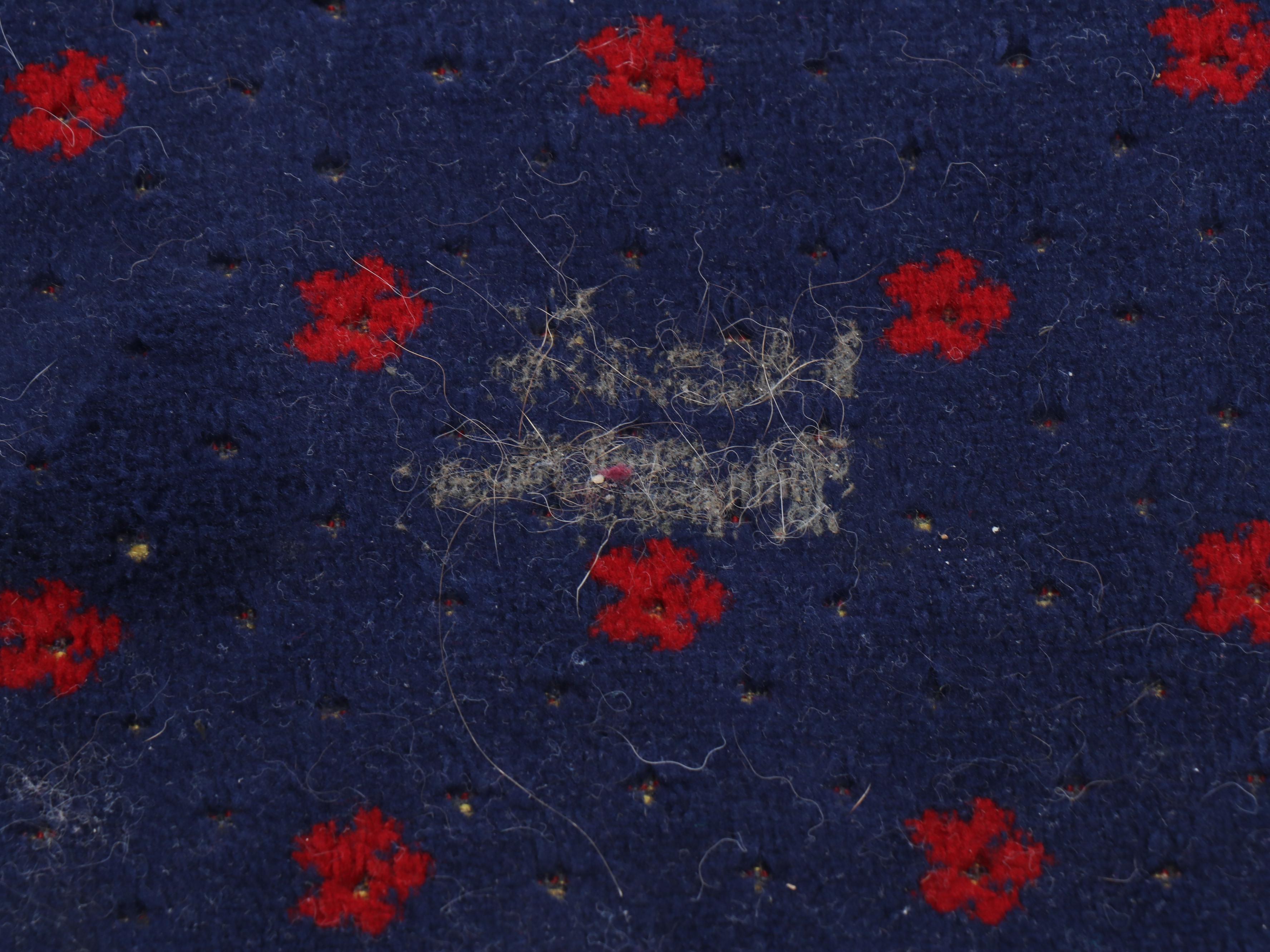 6'8 x 3'2 Bukhara Textile Turkish Rug with Peacock Wall Rug