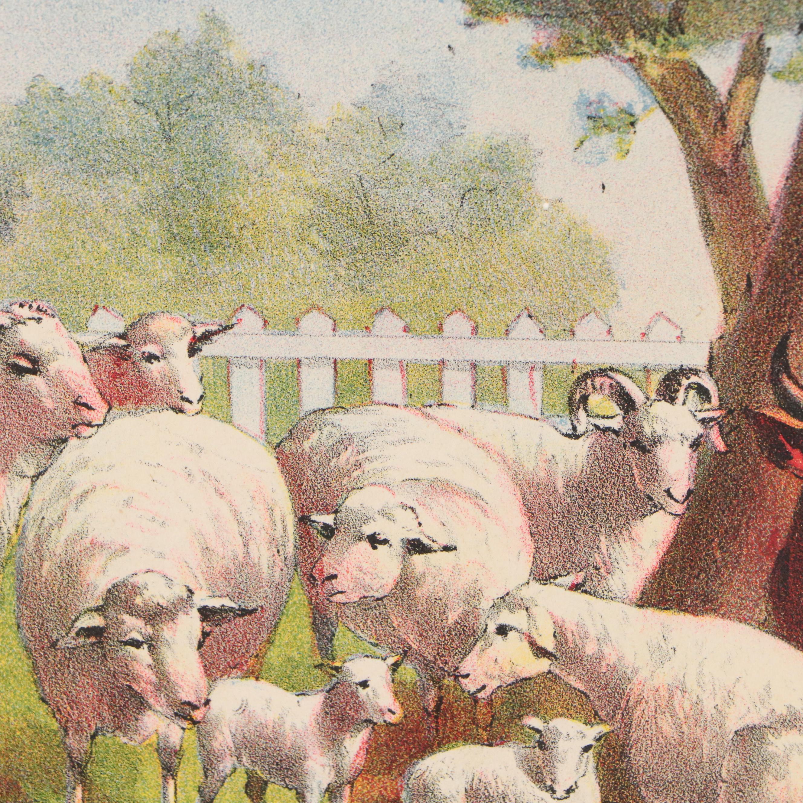 The Donaldson Lithographing Co. Color Lithograph with Farm Animal Border