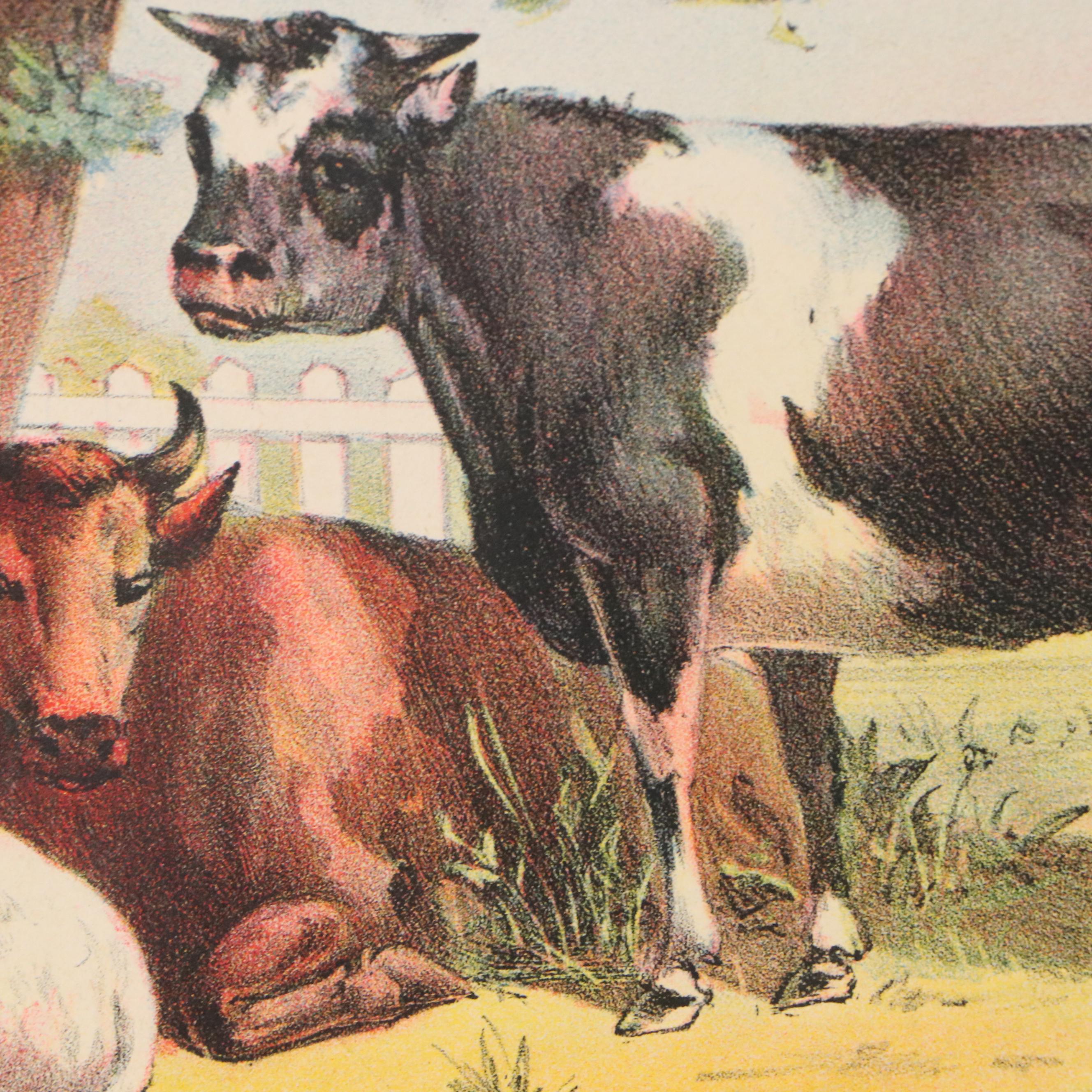 The Donaldson Lithographing Co. Color Lithograph with Farm Animal Border