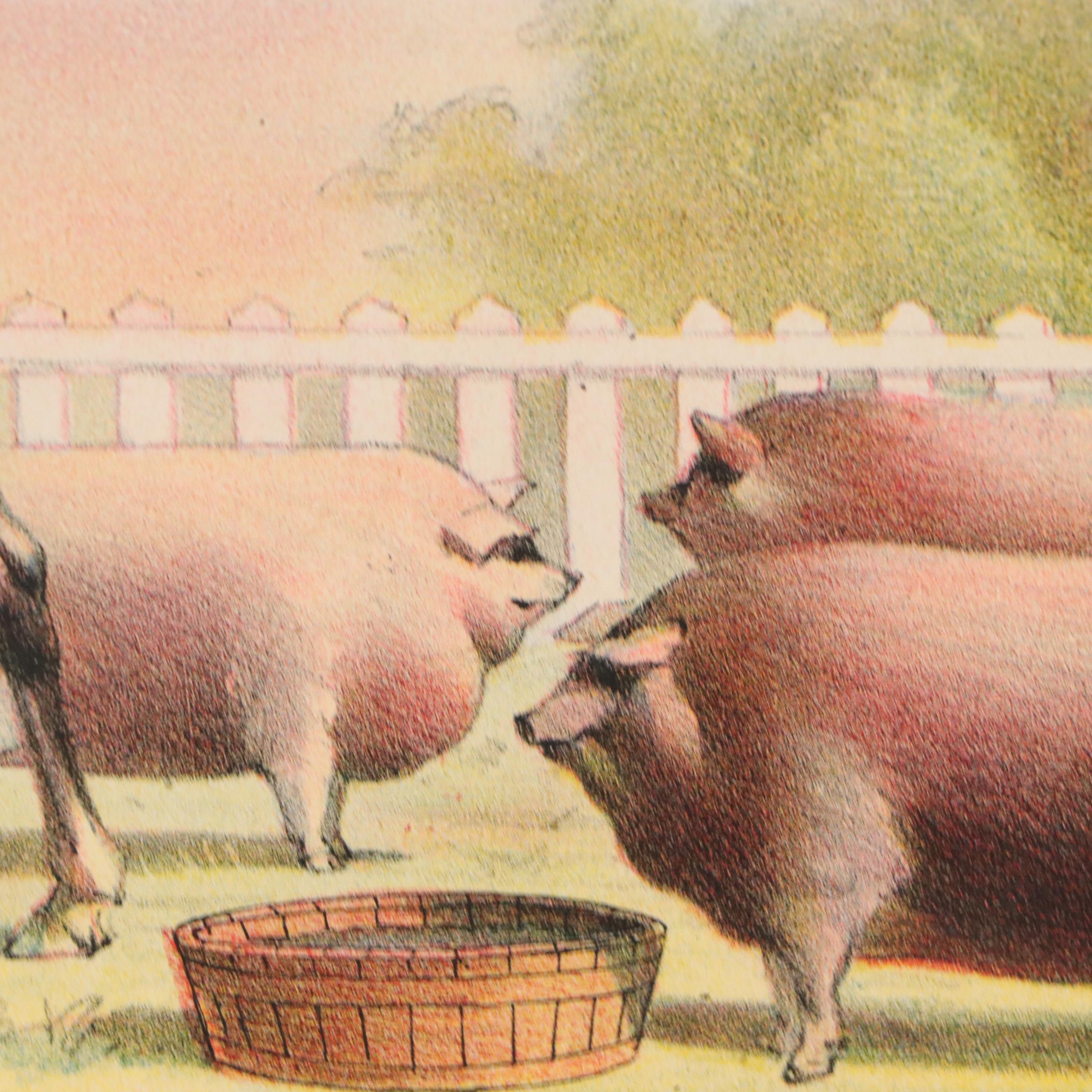 The Donaldson Lithographing Co. Color Lithograph with Farm Animal Border