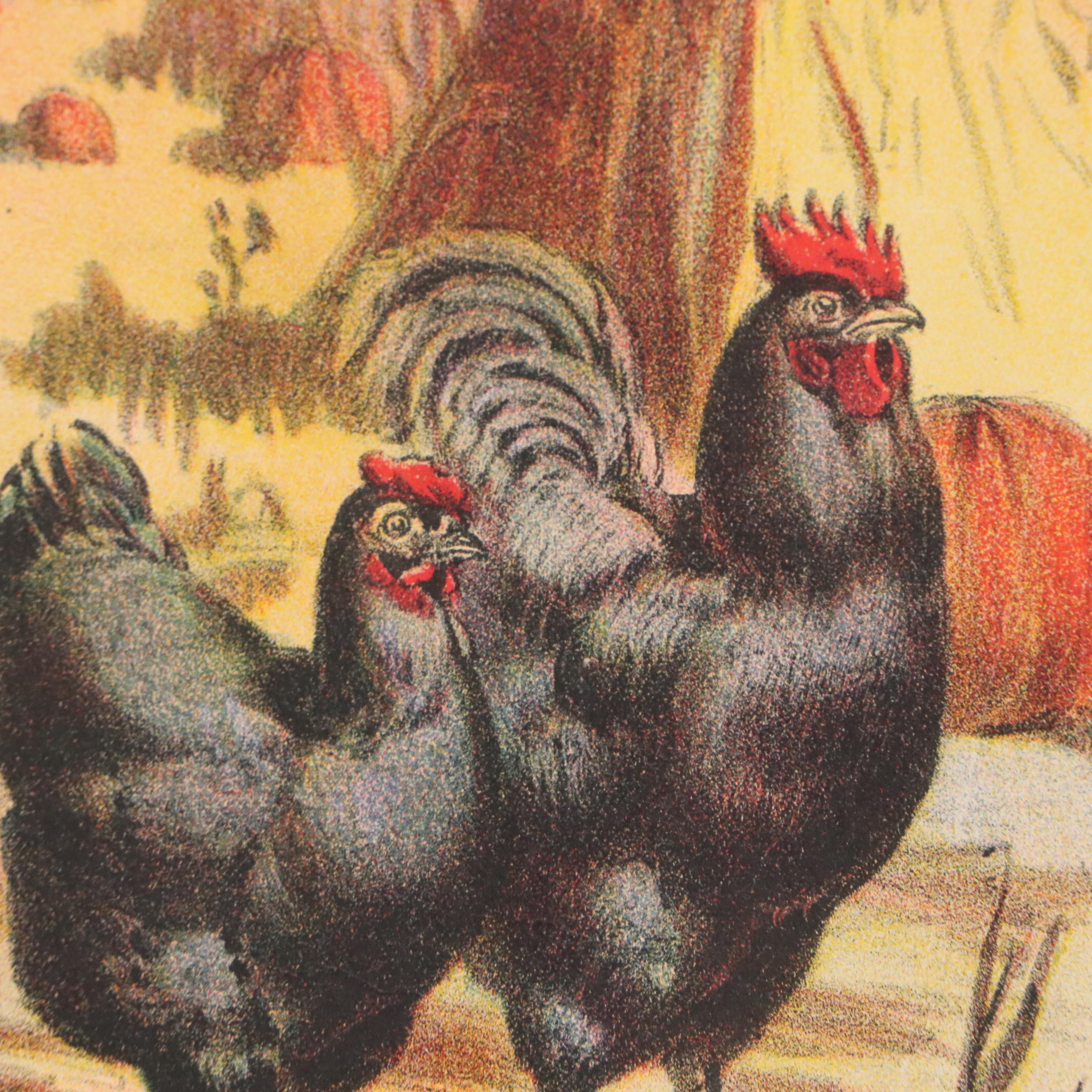 The Donaldson Lithographing Co. Color Lithograph with Farm Animal Border