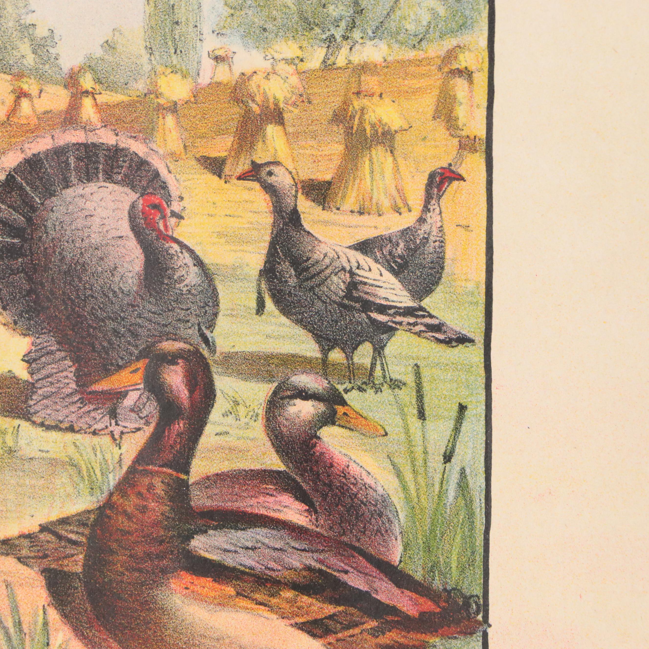 The Donaldson Lithographing Co. Color Lithograph with Farm Animal Border