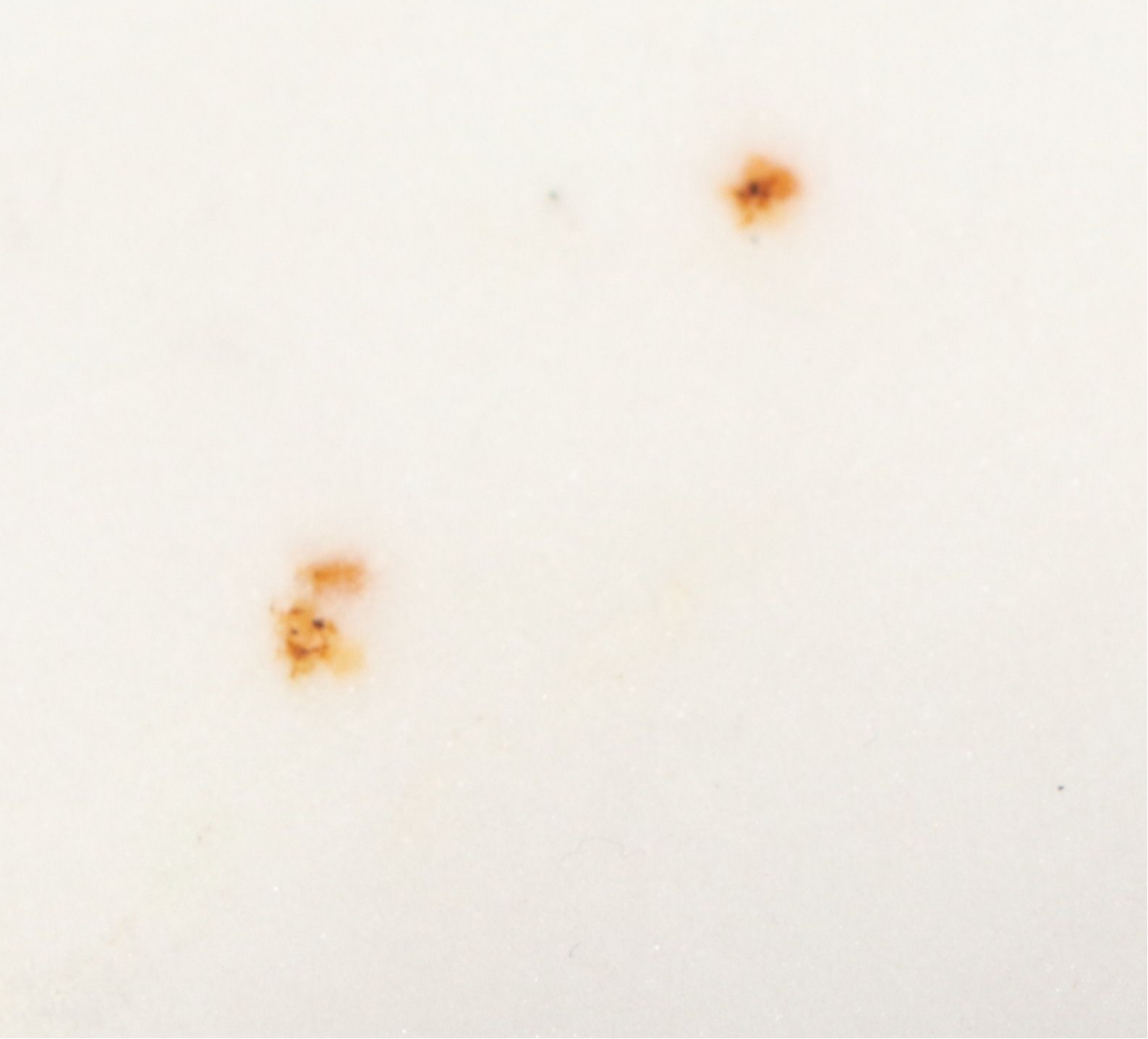 Baroque Style Brass Pedestal Accent Tables with Marble Tops