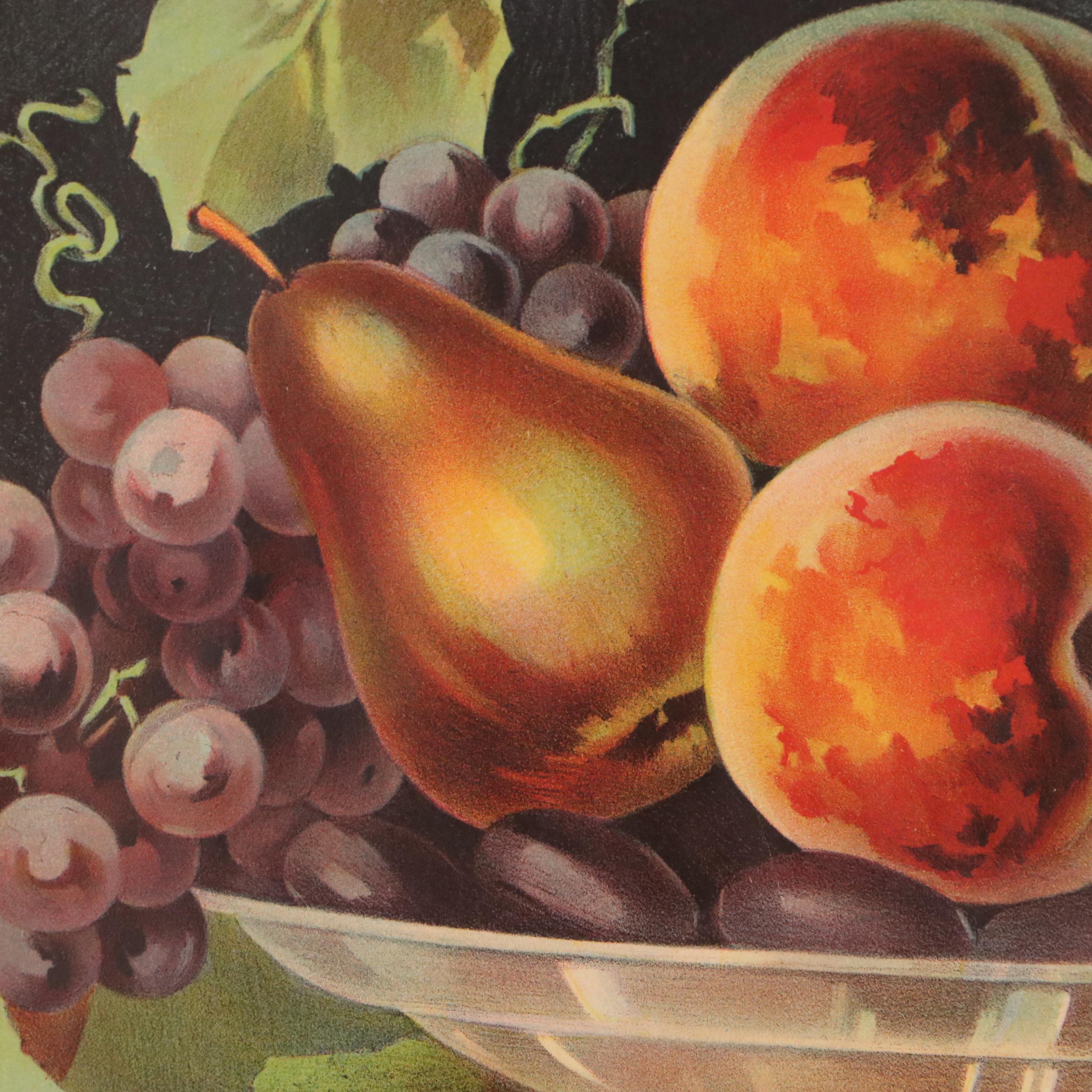 The Donaldson Lithographing Co. Chromolithograph of Fruit Still Life, 1893