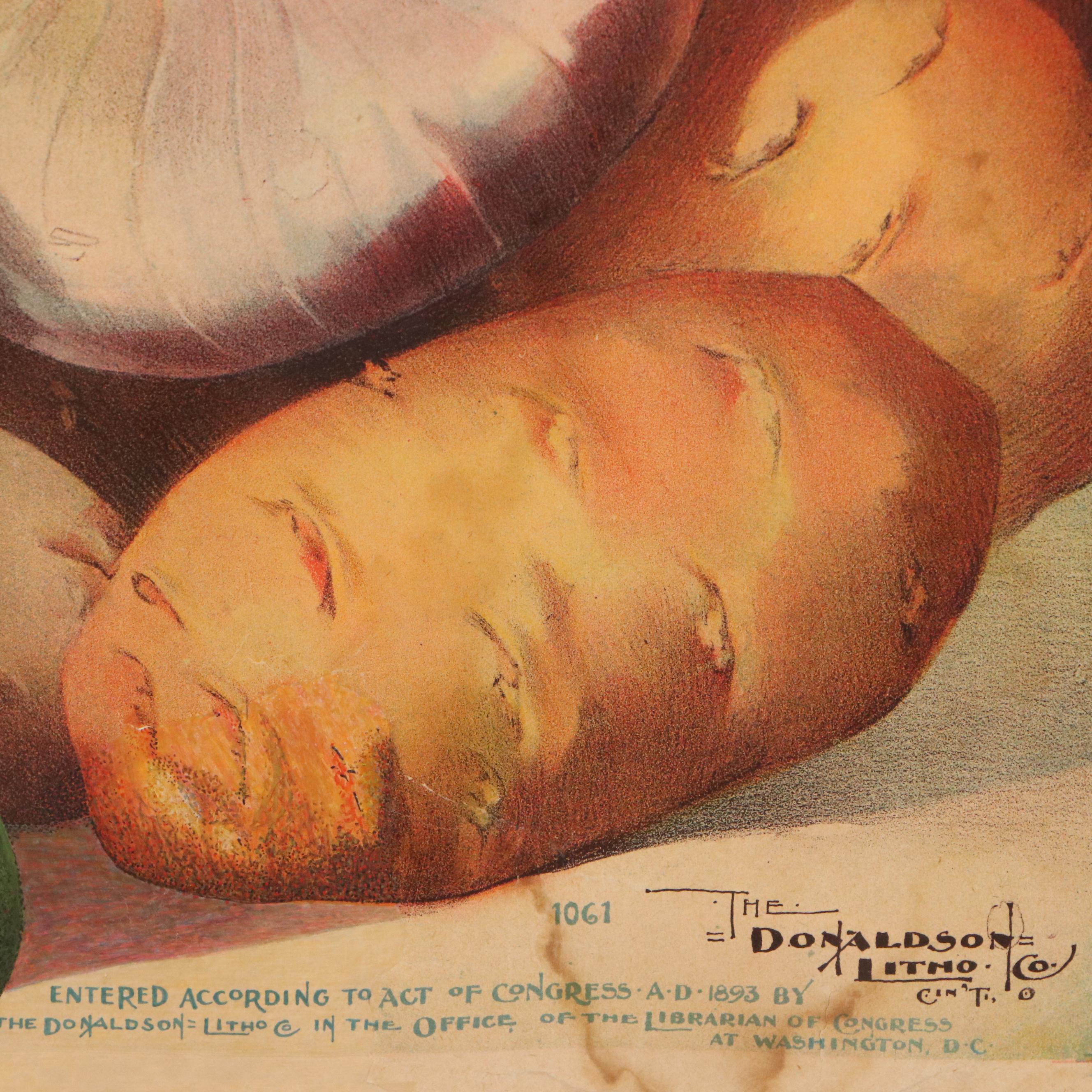 The Donaldson Lithographing Co. Chromolithograph of Fruit Still Life, 1893