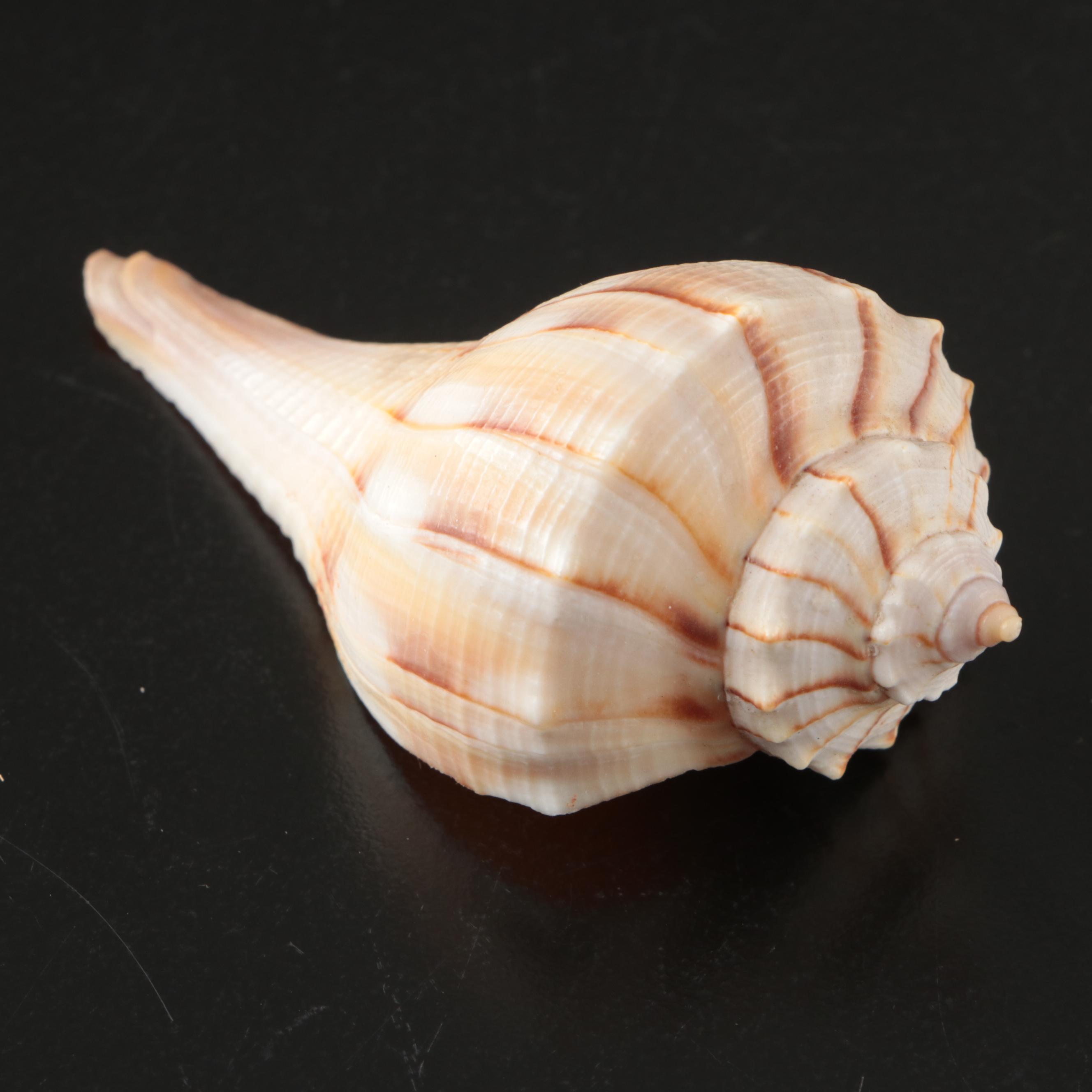 Steuben Crystal Fluted Champagne and Wine Glasses, 1930s