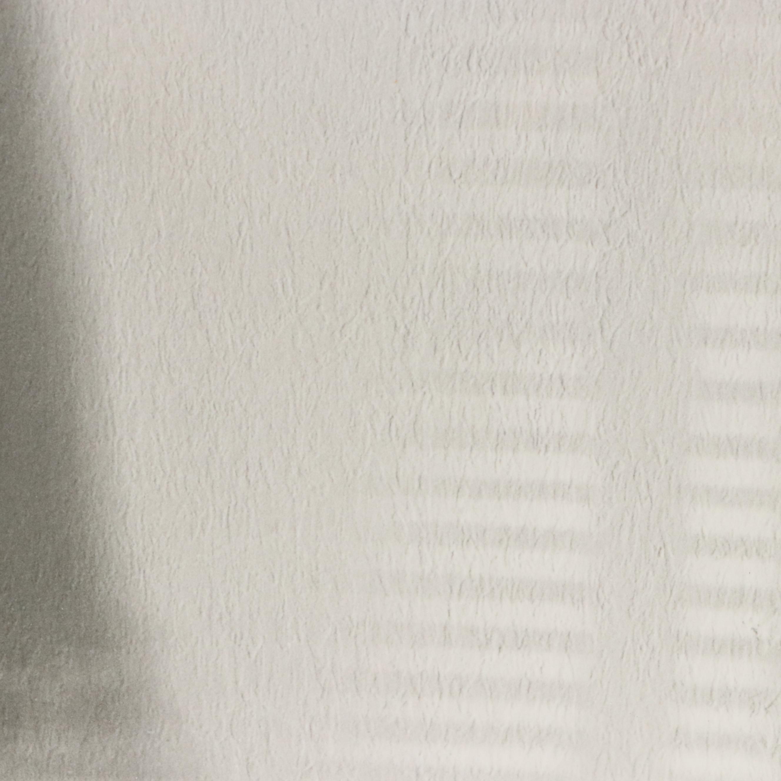 Marilyn Littman Photograph of Cardigan, 21st Century