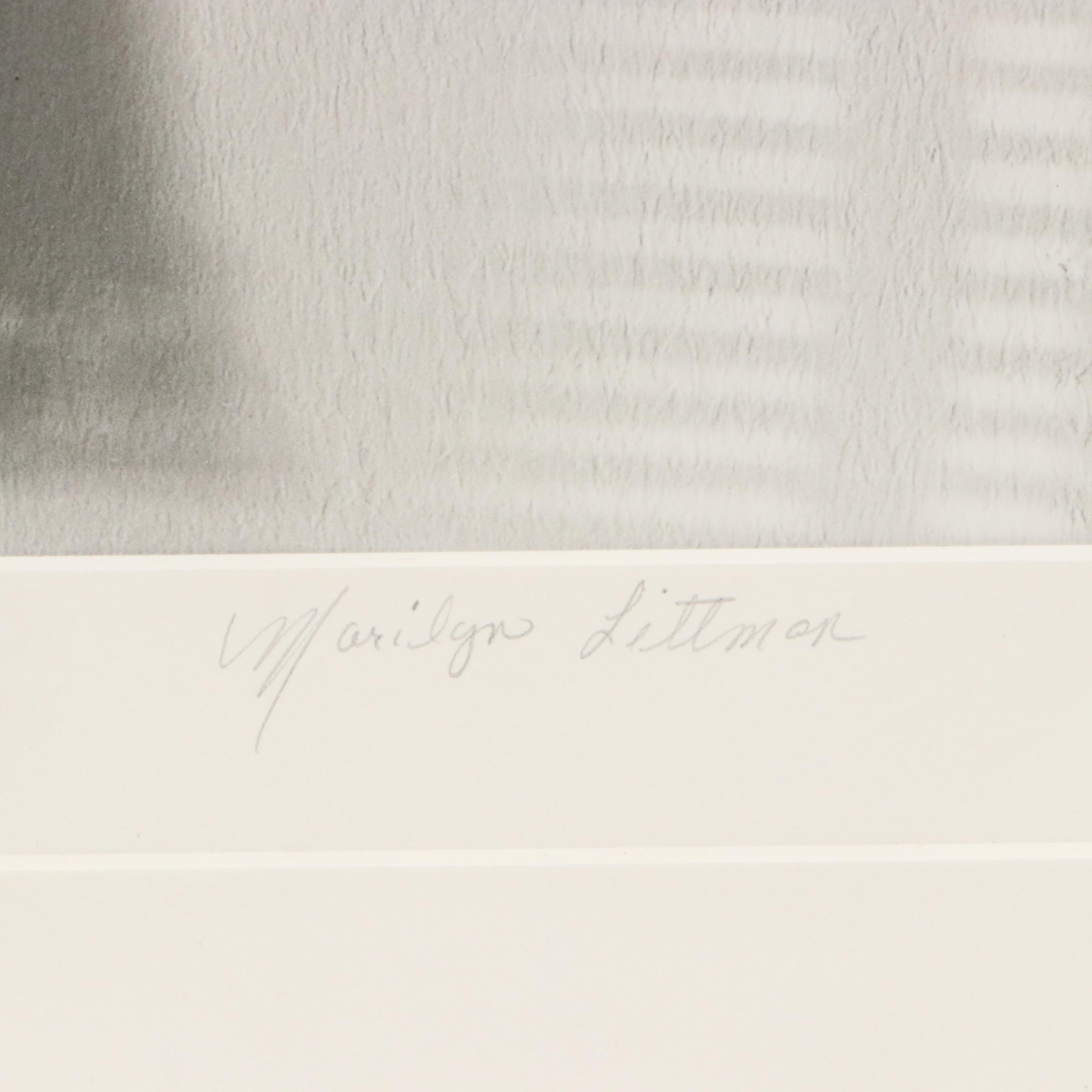 Marilyn Littman Photograph of Cardigan, 21st Century