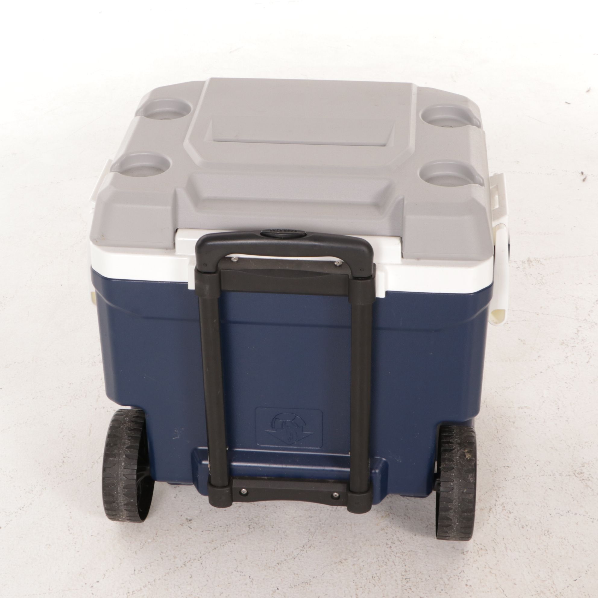 Igloo "Contour 30" and Rolling "Latitude 62" Coolers