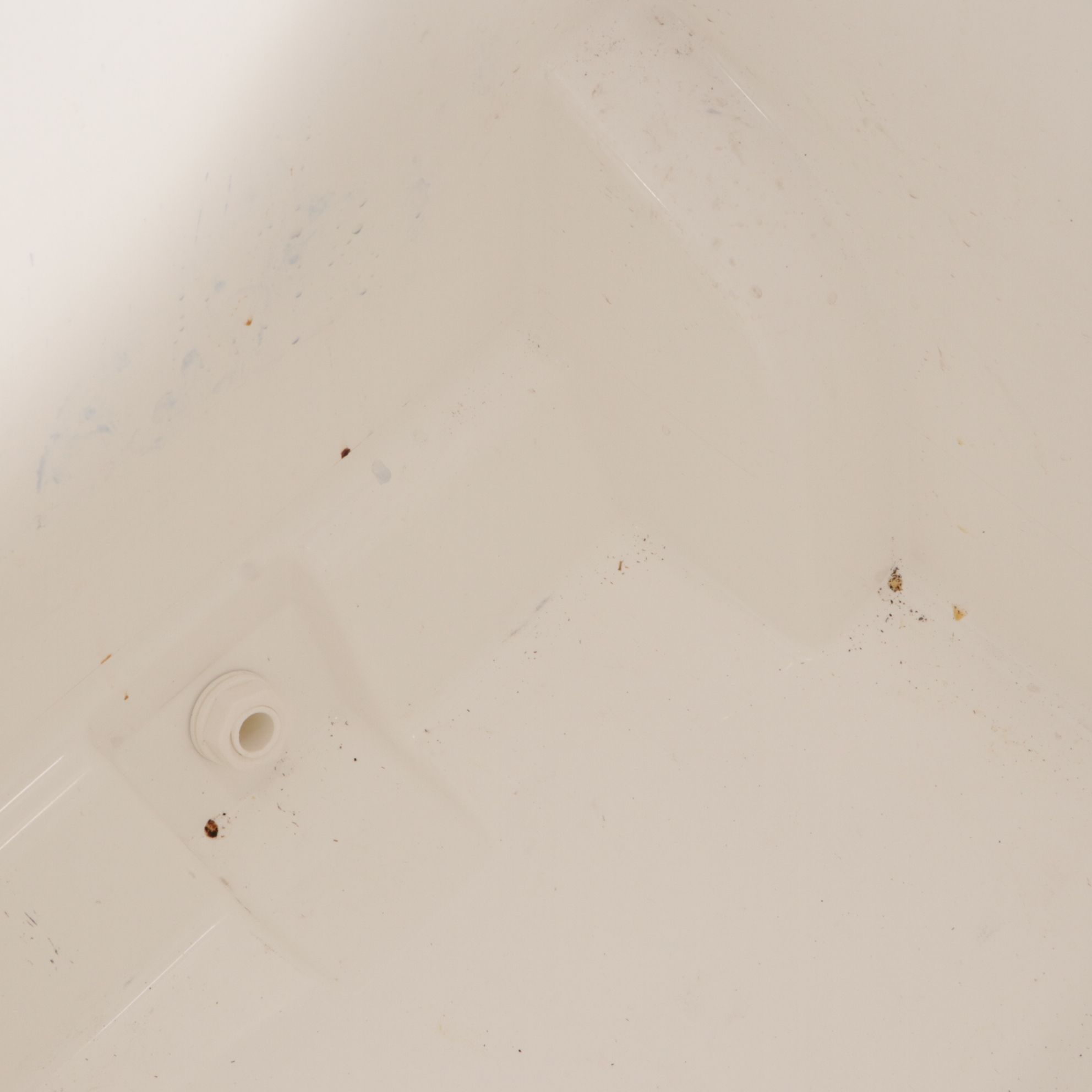 Igloo "Contour 30" and Rolling "Latitude 62" Coolers