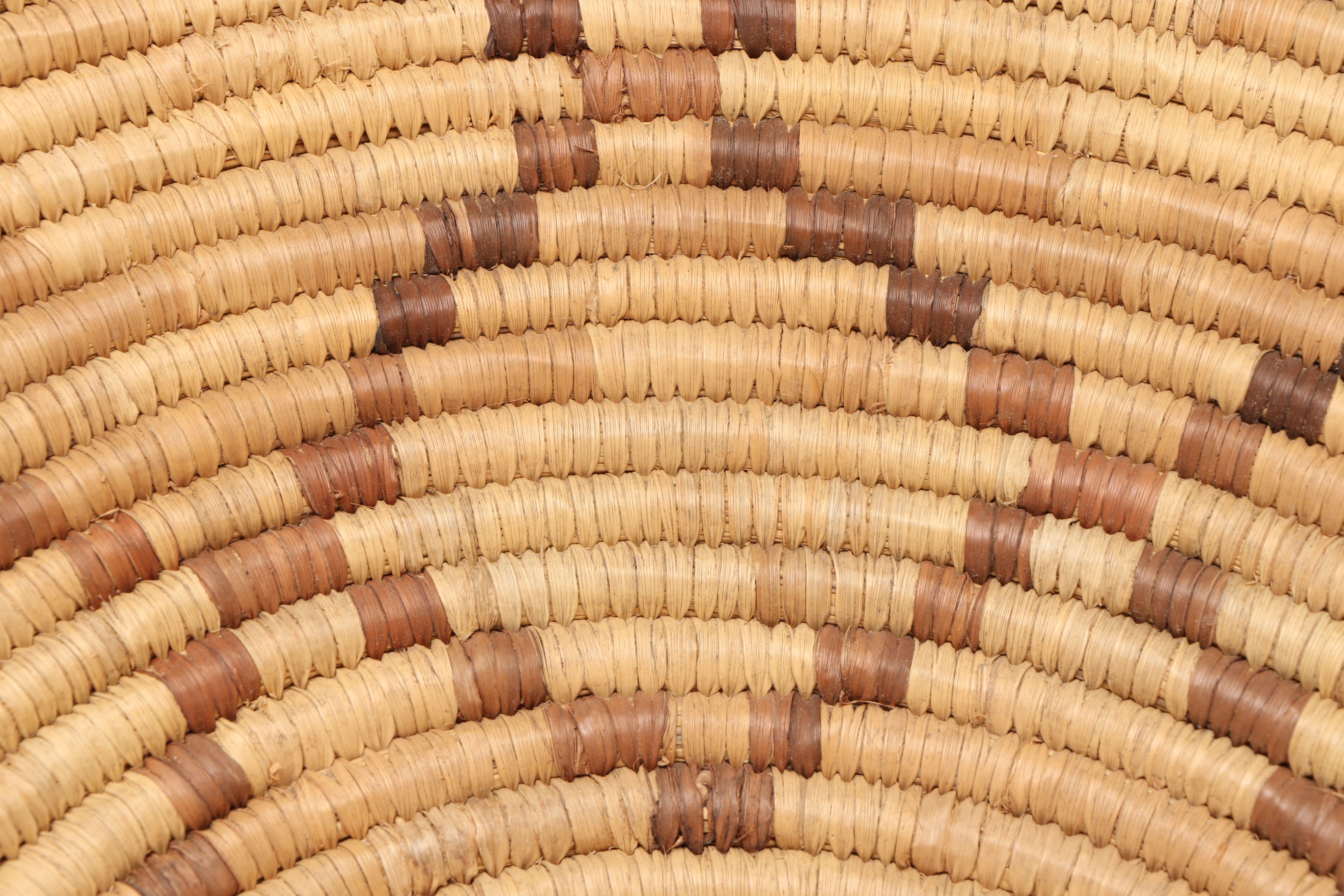 Mrs. Chum Botswana Sisal Basket and Other Mokolwane Palm Coil Baskets