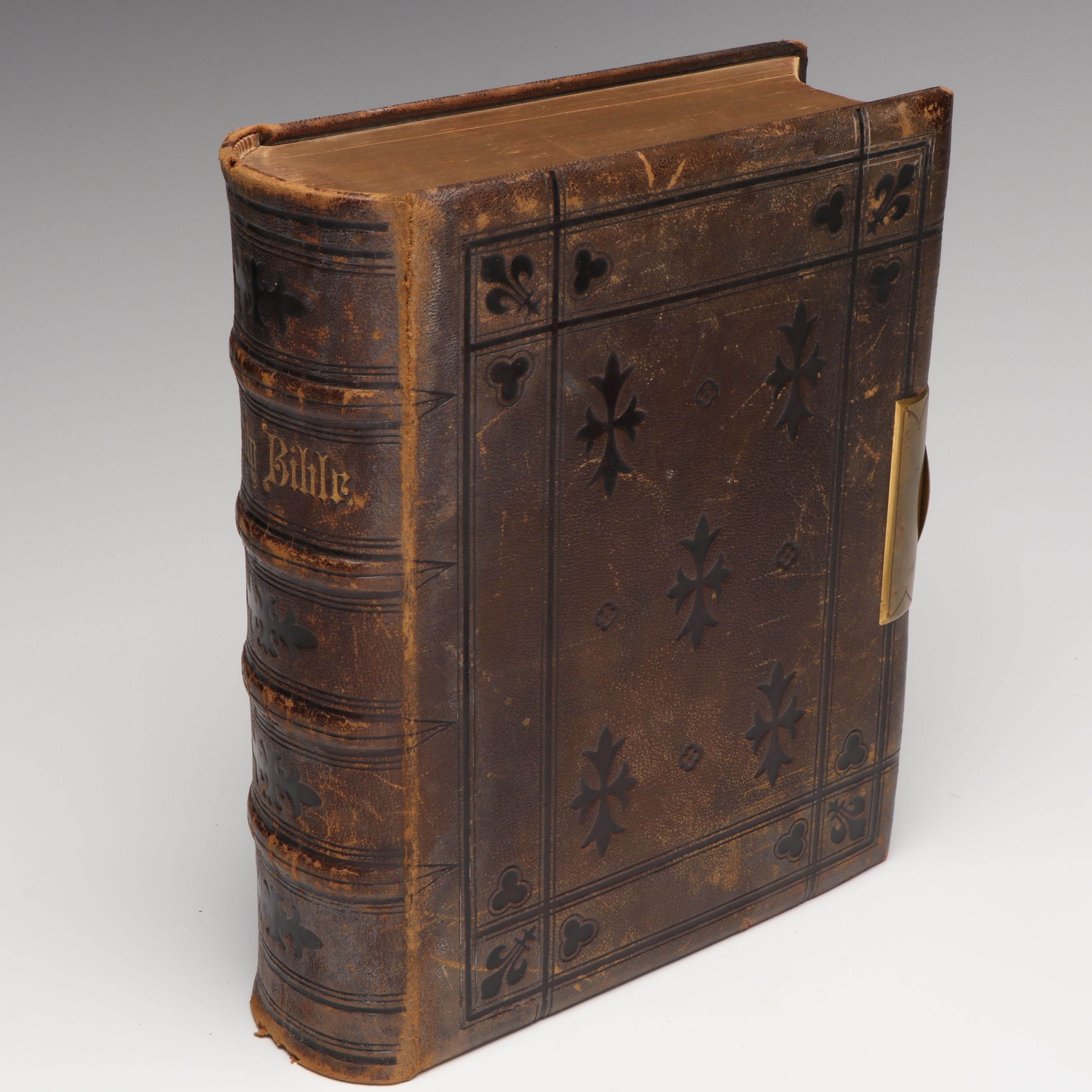 Leather Bound King James Version Holy Bible, 1869