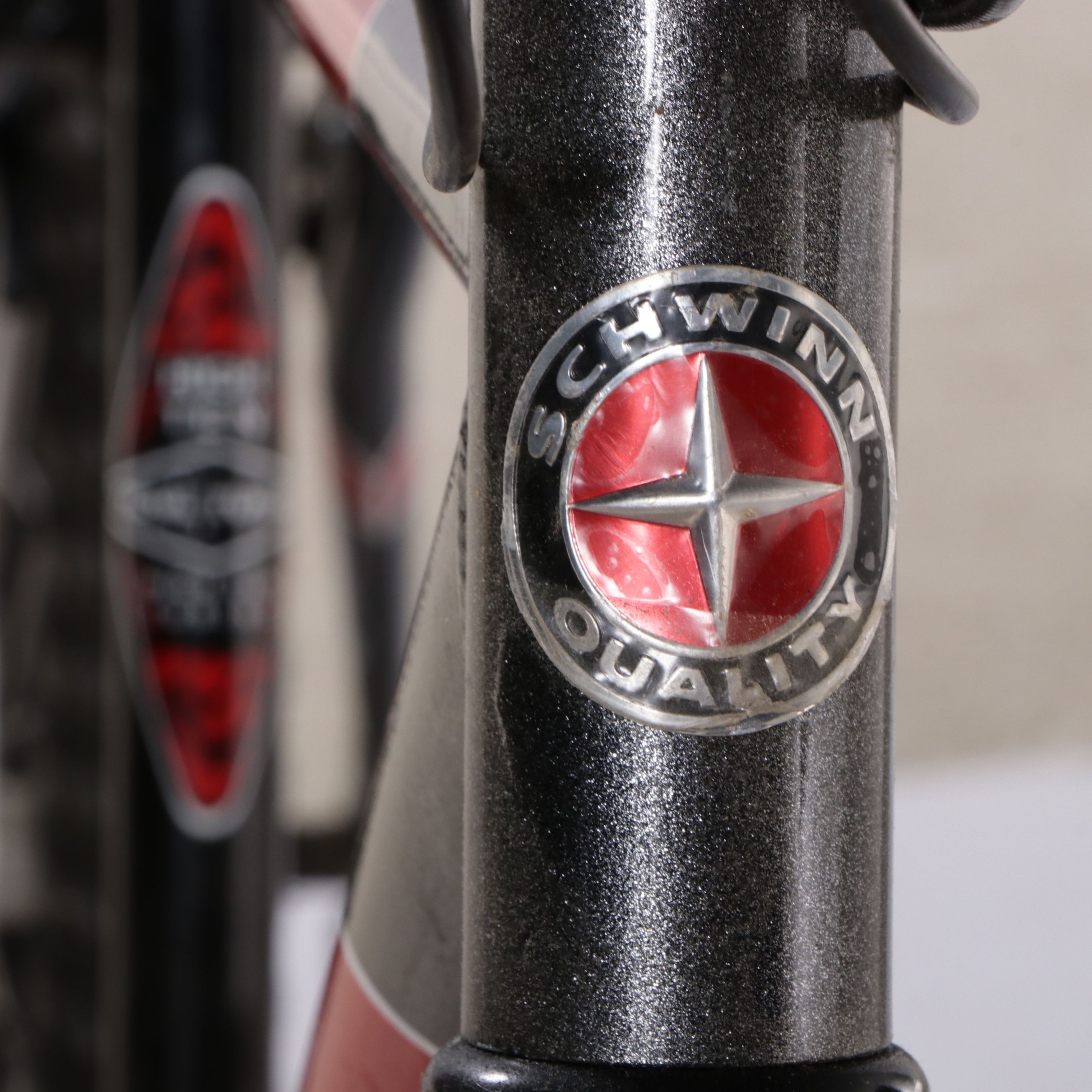 Schwinn Sidewinder Mountain Bike with Tire Pump, and Bike Trunk Rack