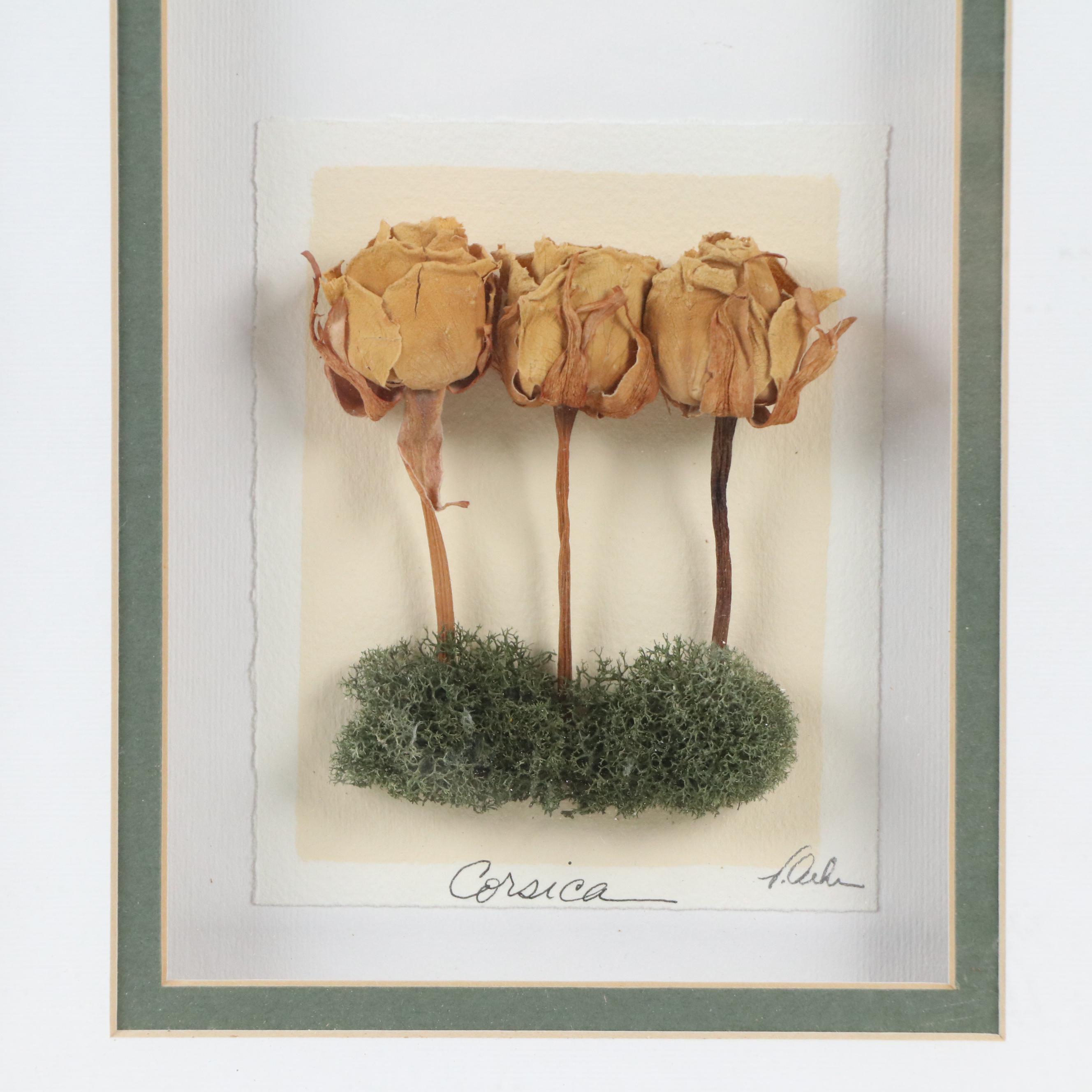 Dried Flowers Composition, Late 20th or 21st Century