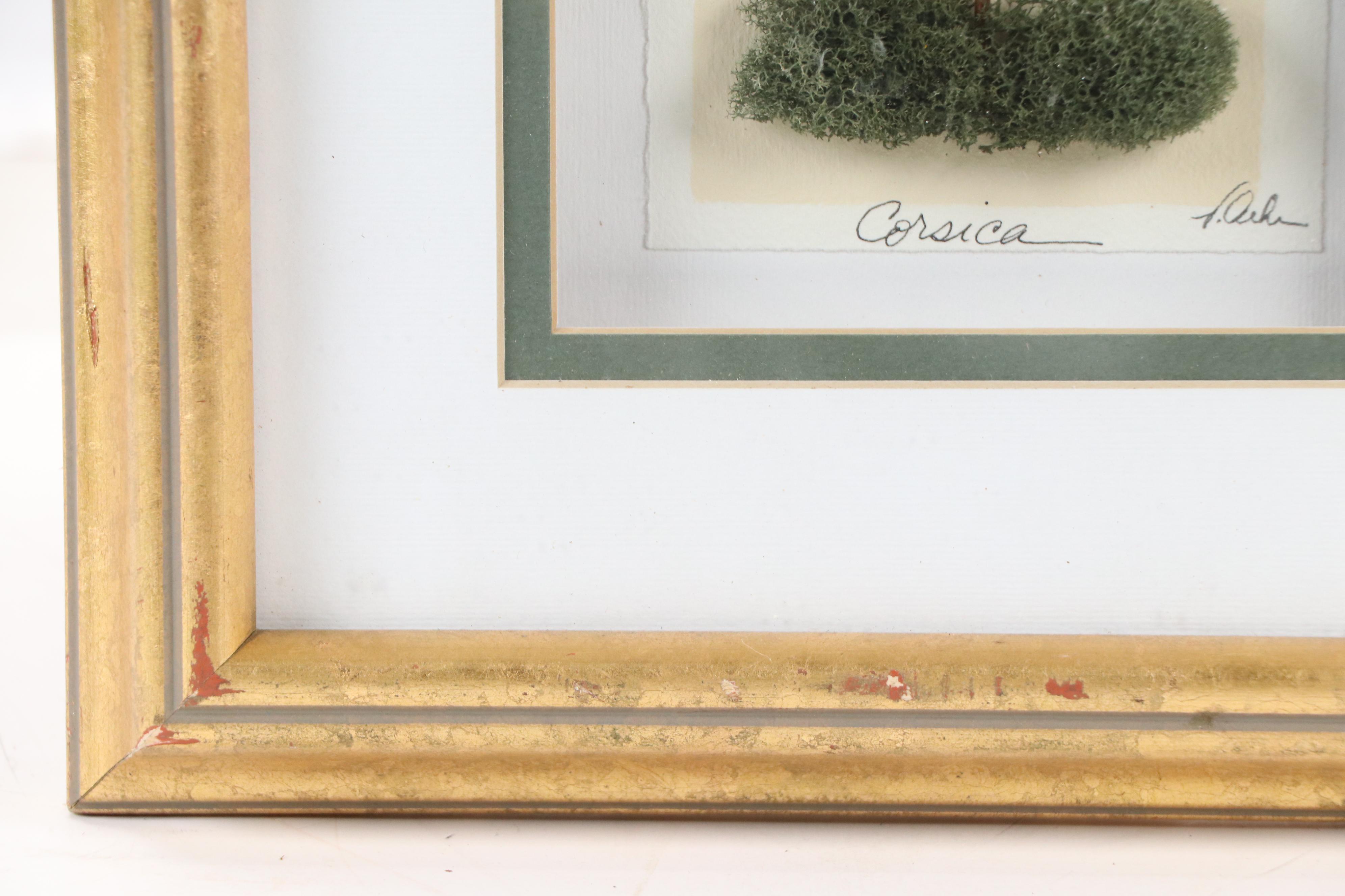 Dried Flowers Composition, Late 20th or 21st Century