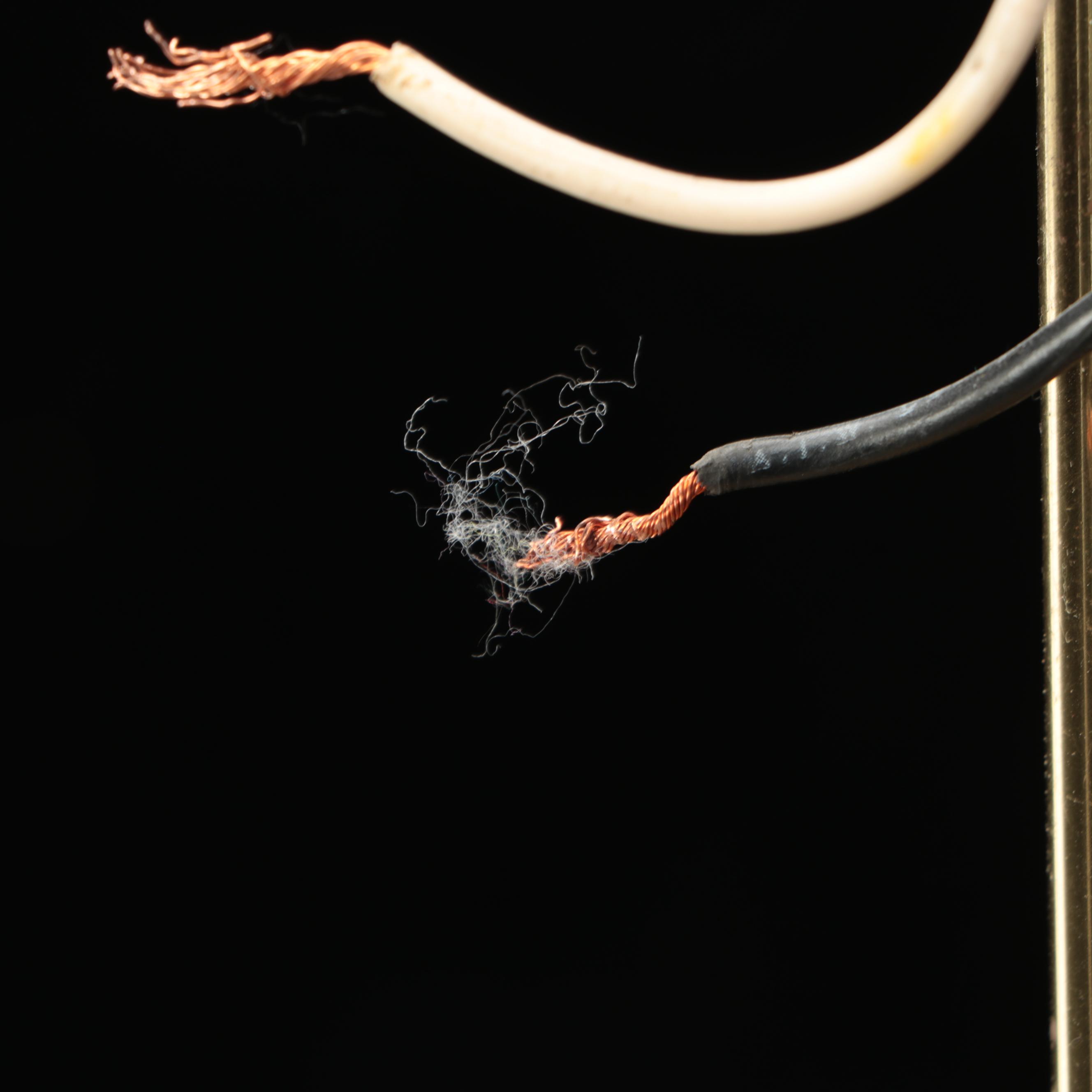 Fleur-de-Lis Torchère Shade Brass Finish Chandelier