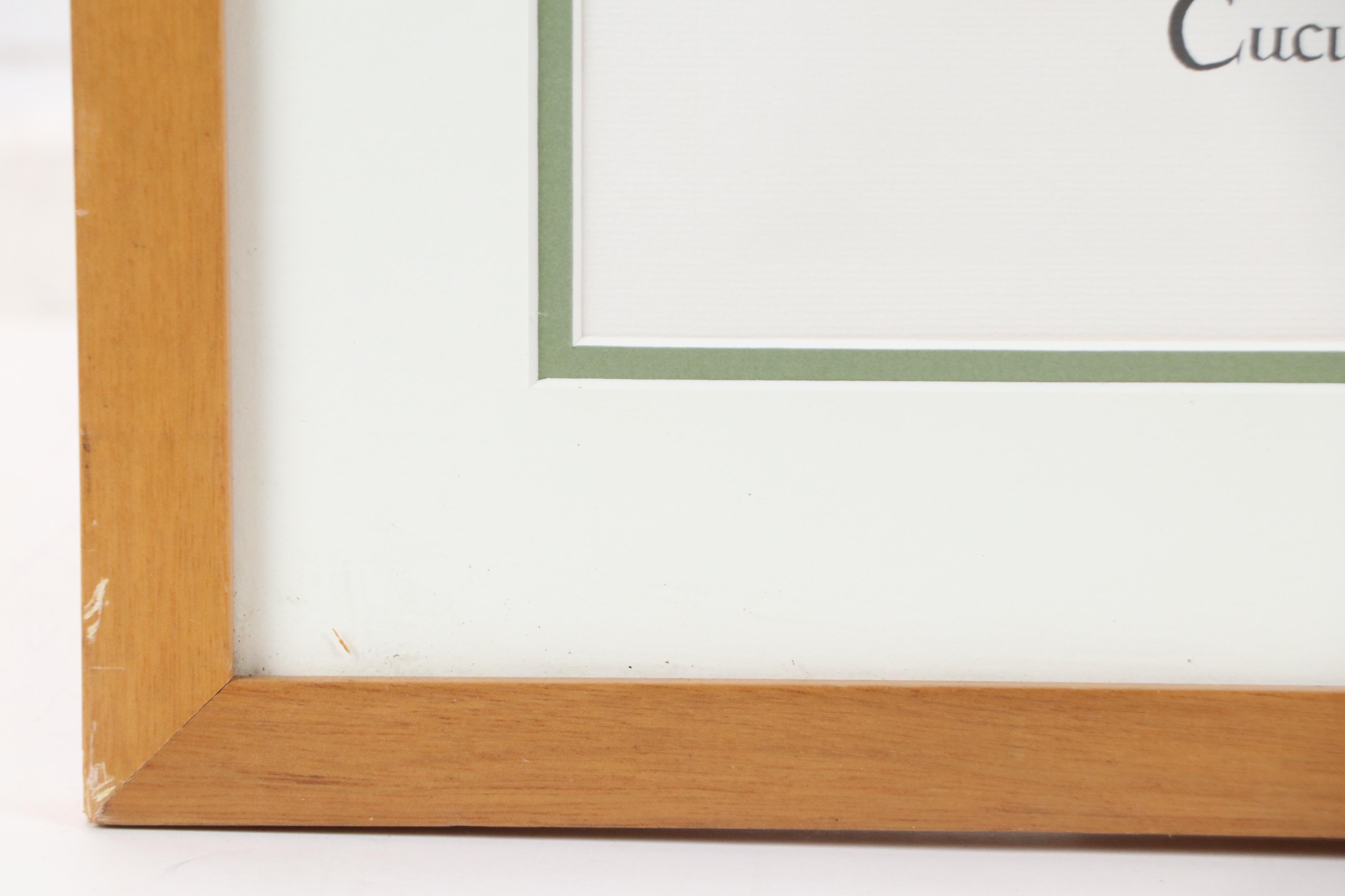 Hand-Colored Botanical Engraving "Cucumis Afininus"