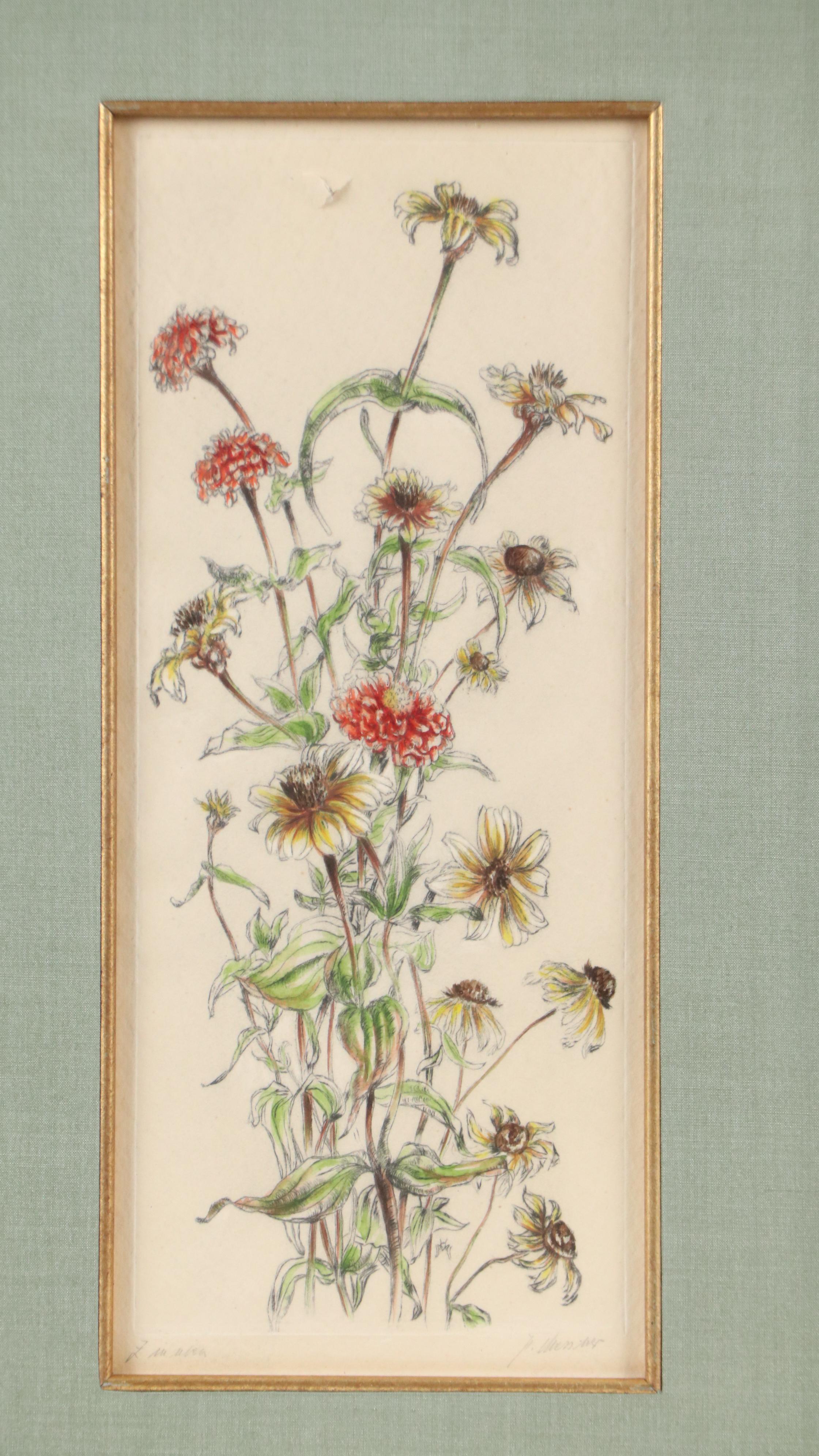 Floral Hand-Colored Lithograph of Mums and Black-Eyed Susans