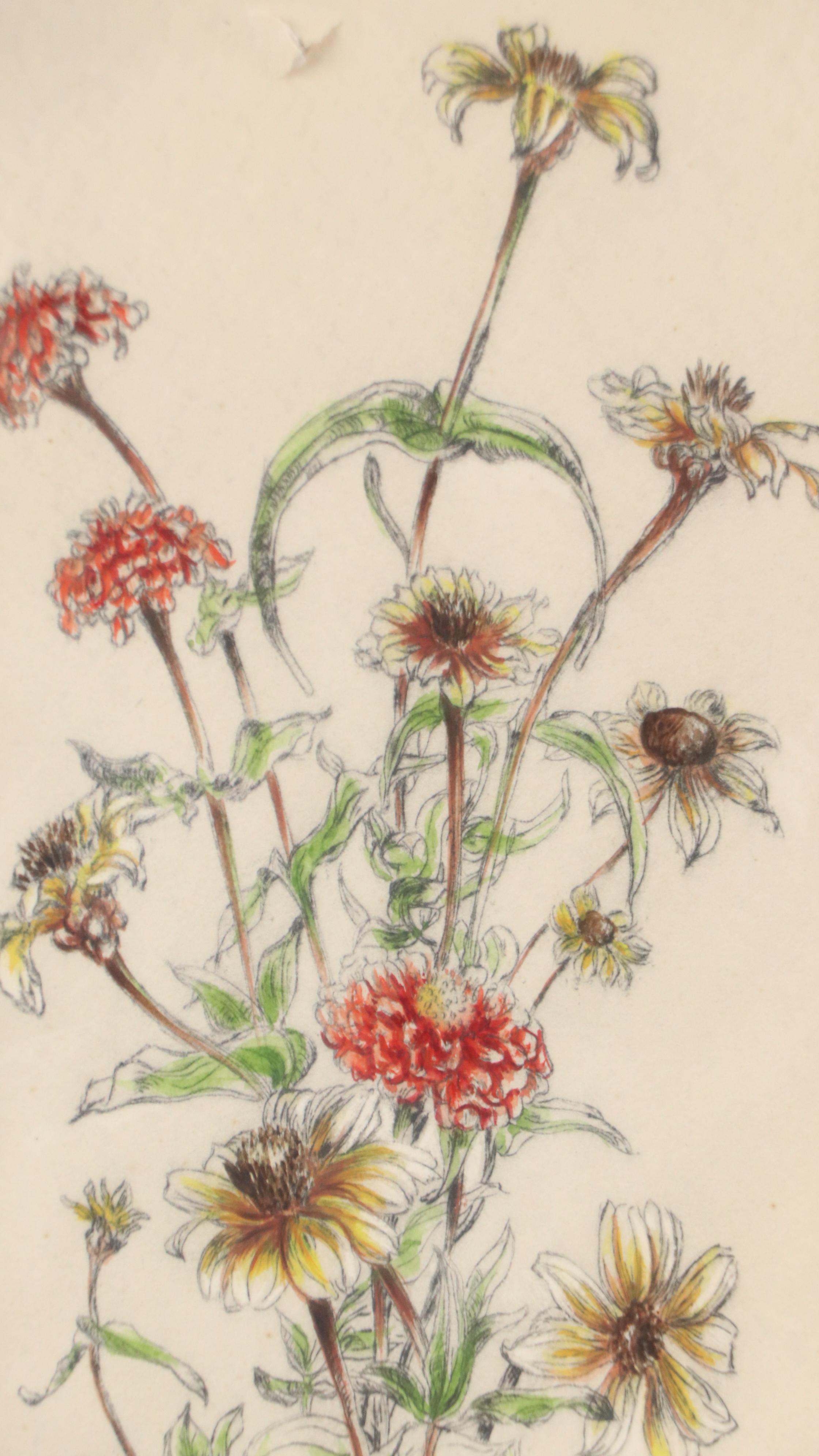 Floral Hand-Colored Lithograph of Mums and Black-Eyed Susans