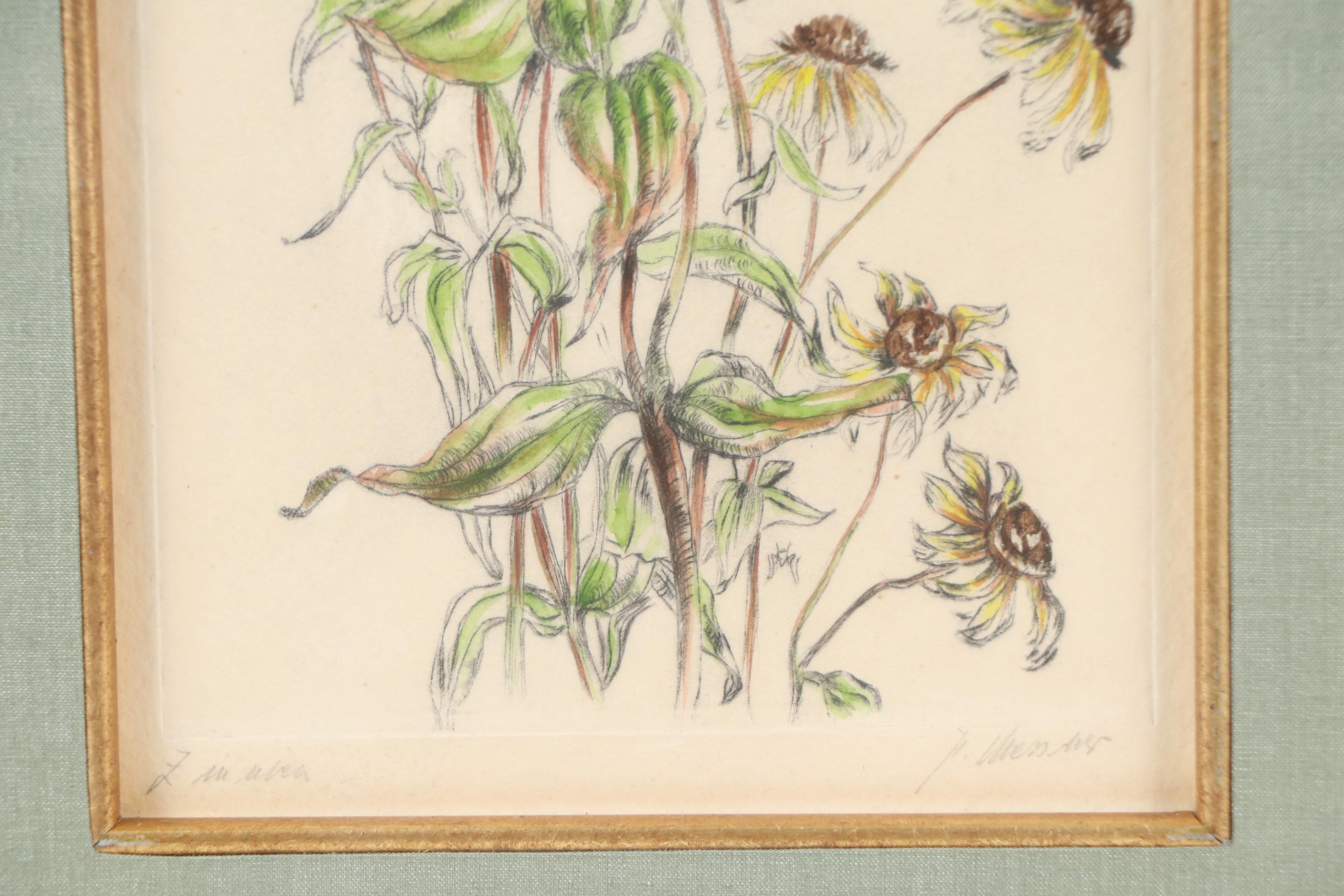 Floral Hand-Colored Lithograph of Mums and Black-Eyed Susans