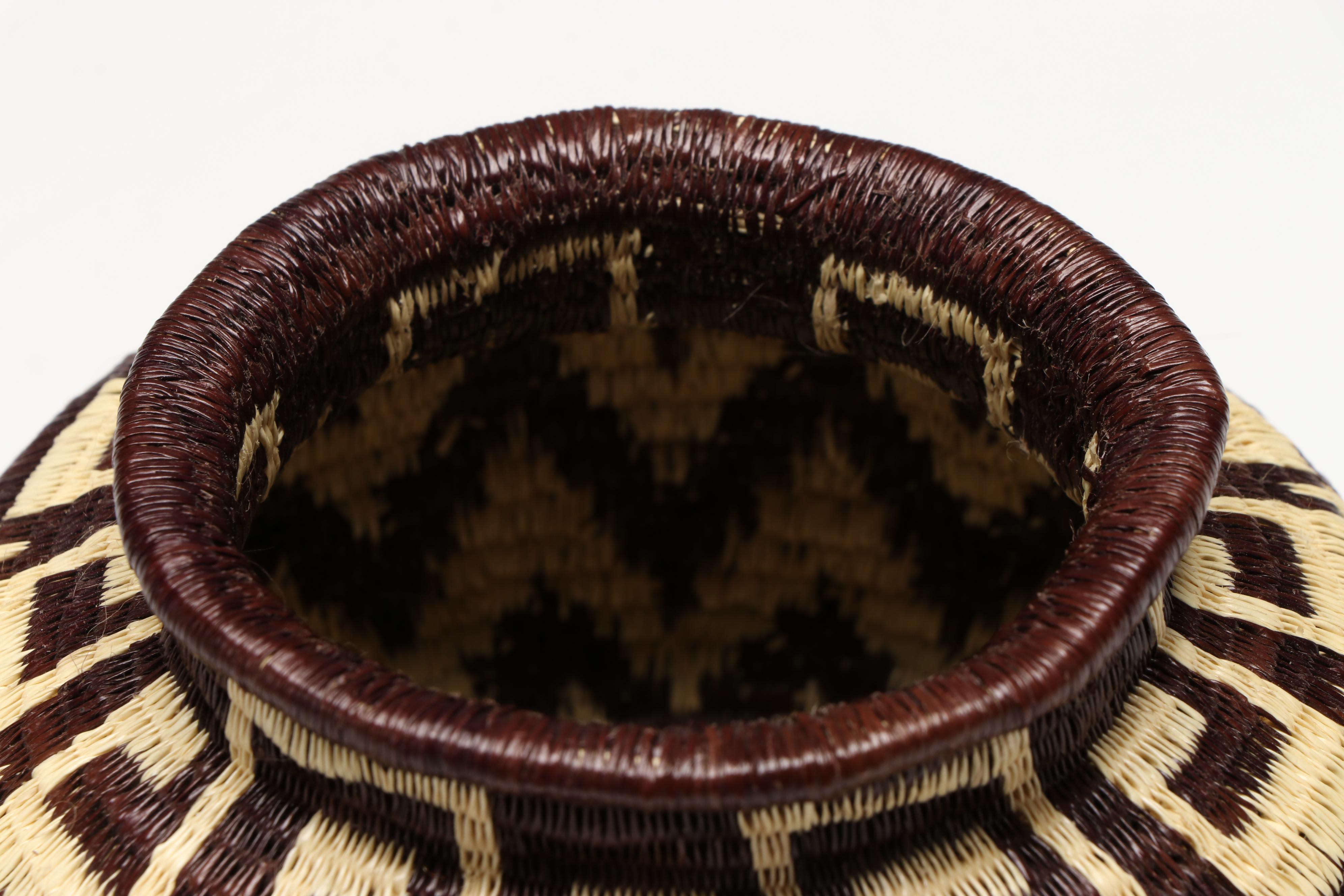 Panamanian Emberá-Wounaan Chunga Fiber Baskets with Owls and Geometric Motifs