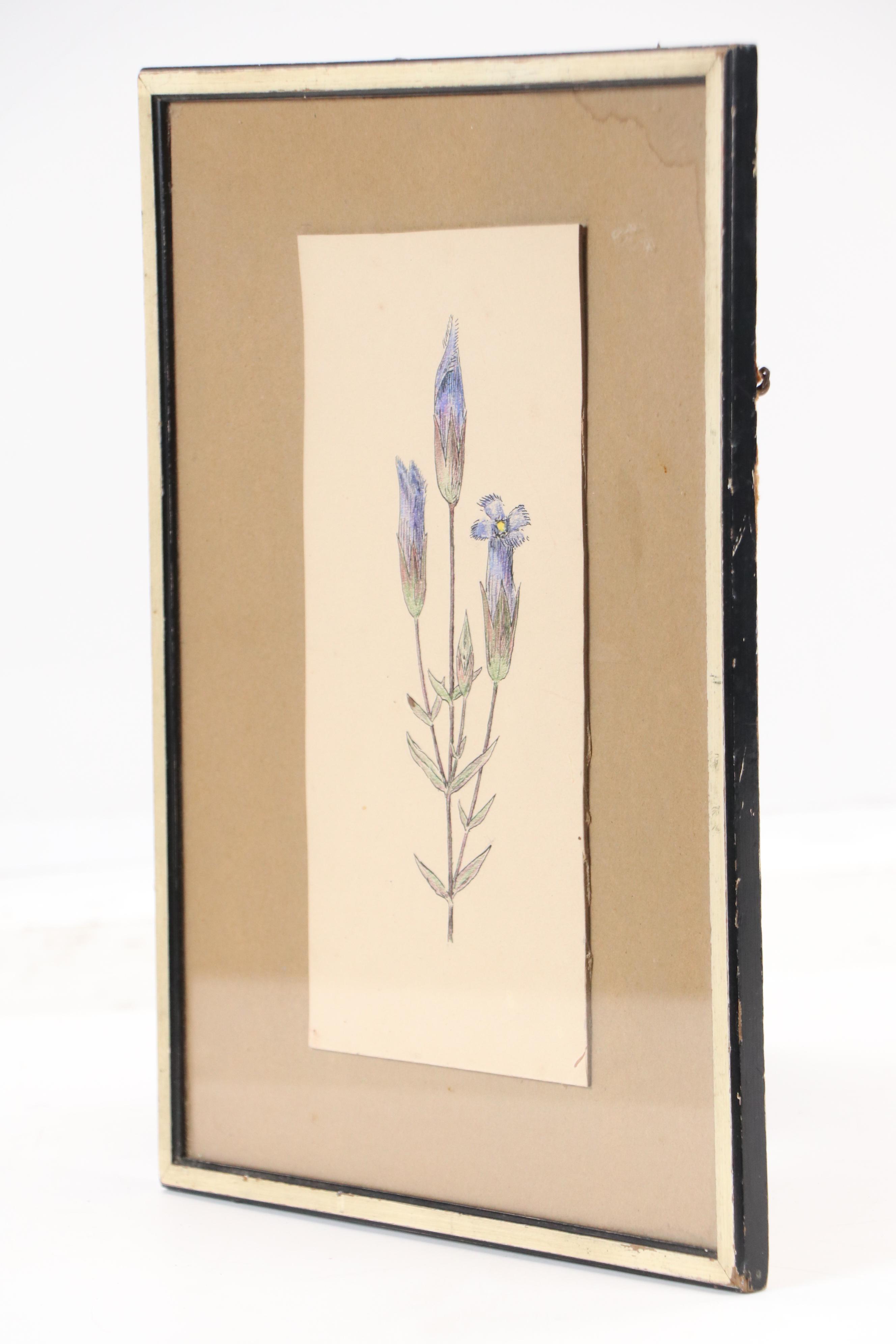 Theophilus Brown Mixed Media Drawing of Blue Flowers, 1961