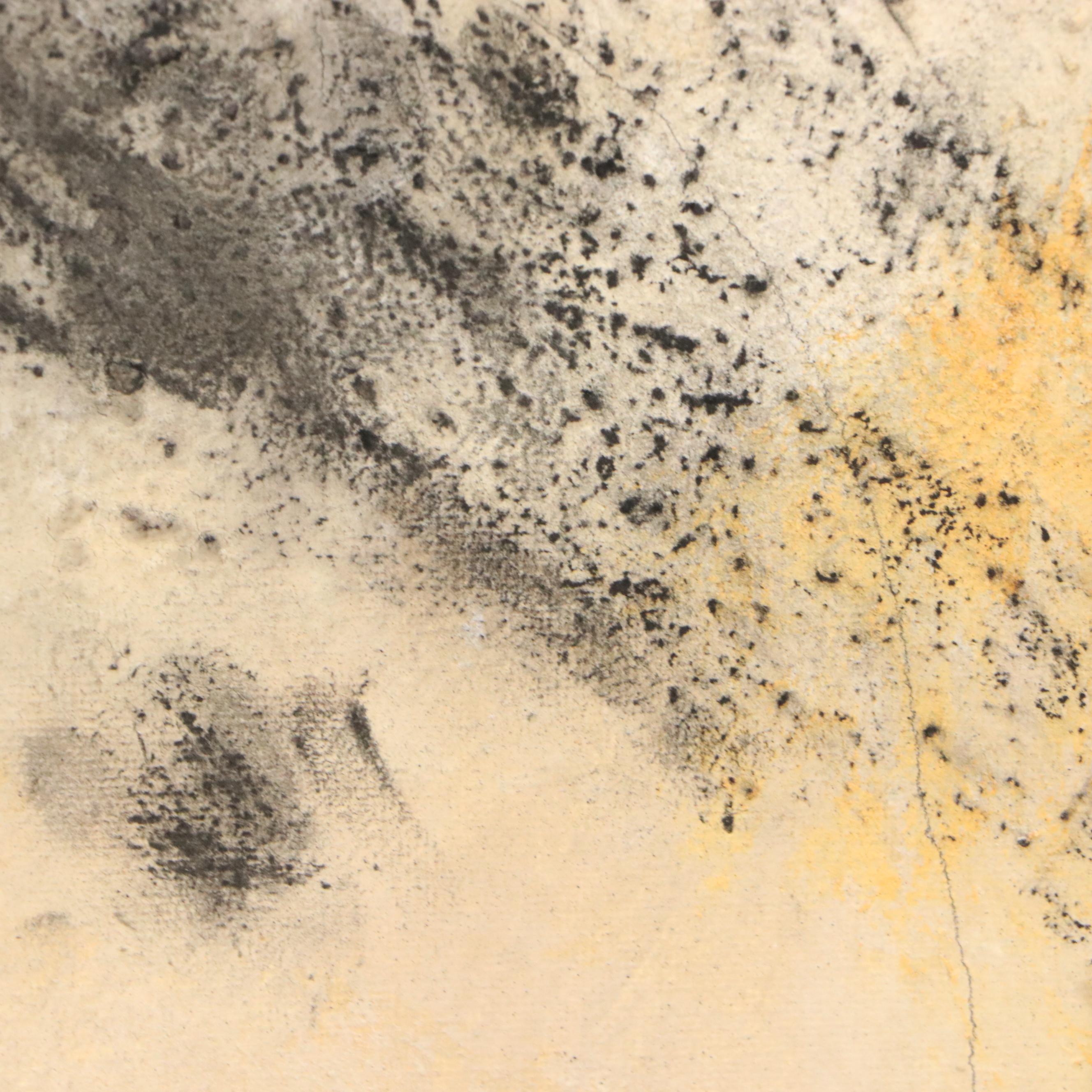 Mina Vale Abstract Mixed Media Painting "Echo Fields," 2024