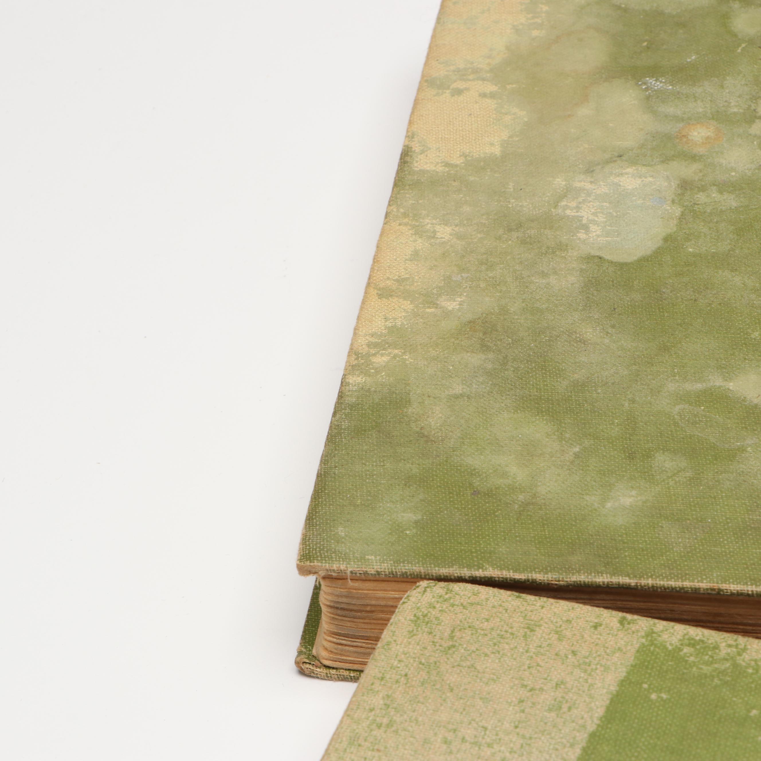 "The Bobbsey Twins" Partial Series by Laura Lee Hope, Early 20th C.