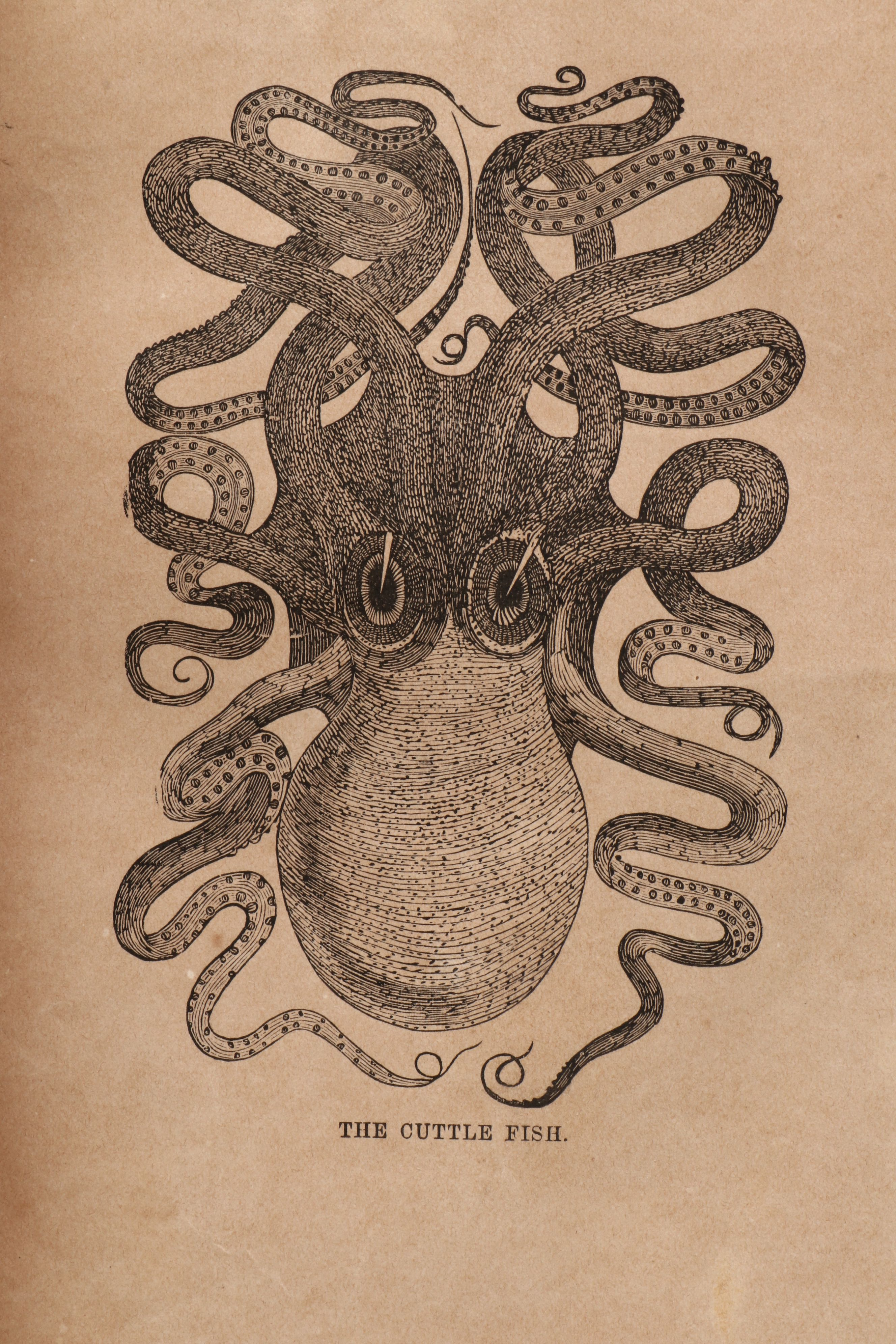 Illustrated "Science and the Bible" by Herbert W. Morris, Late 19th Century