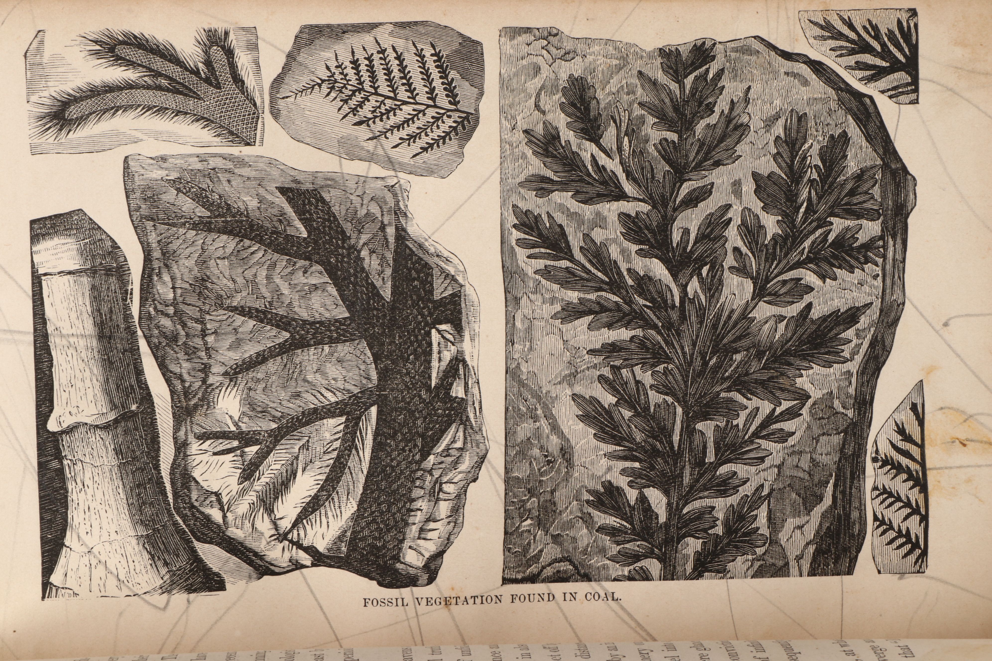 Illustrated "Science and the Bible" by Herbert W. Morris, Late 19th Century