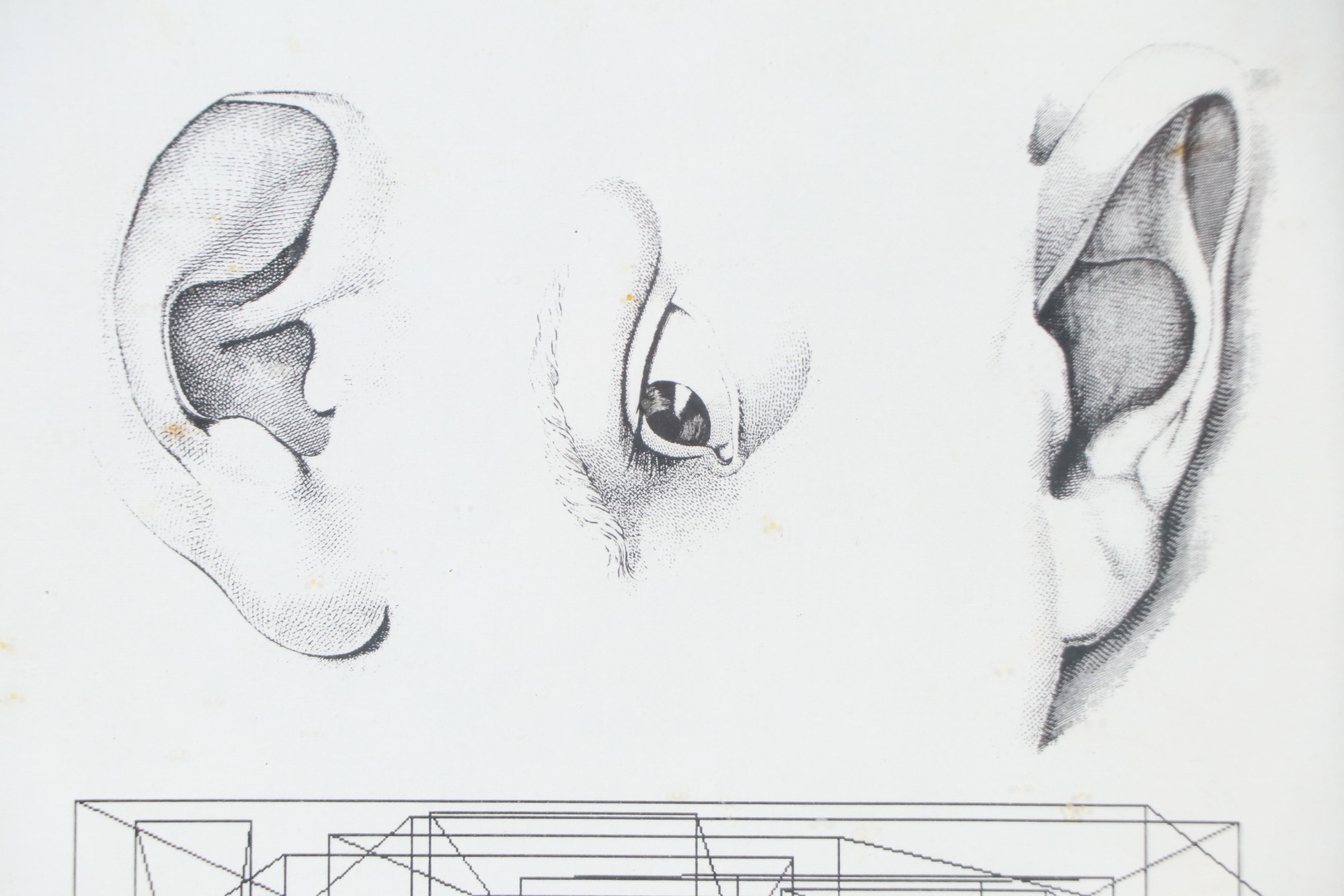 Gary Spradling Digital Prints "Sensory Perception" and More, Late 20th Century