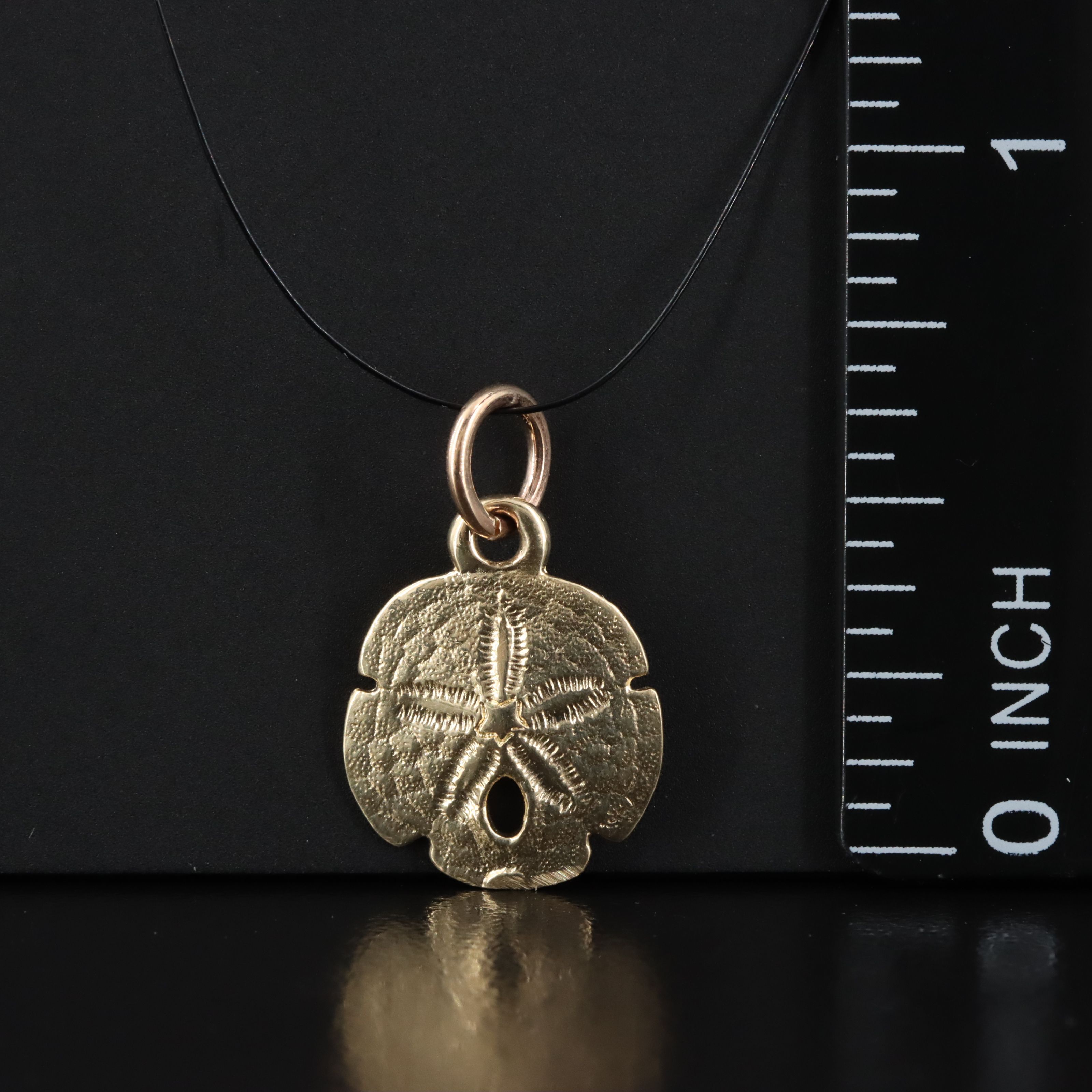 14K Sand Dollar Charm Pendant