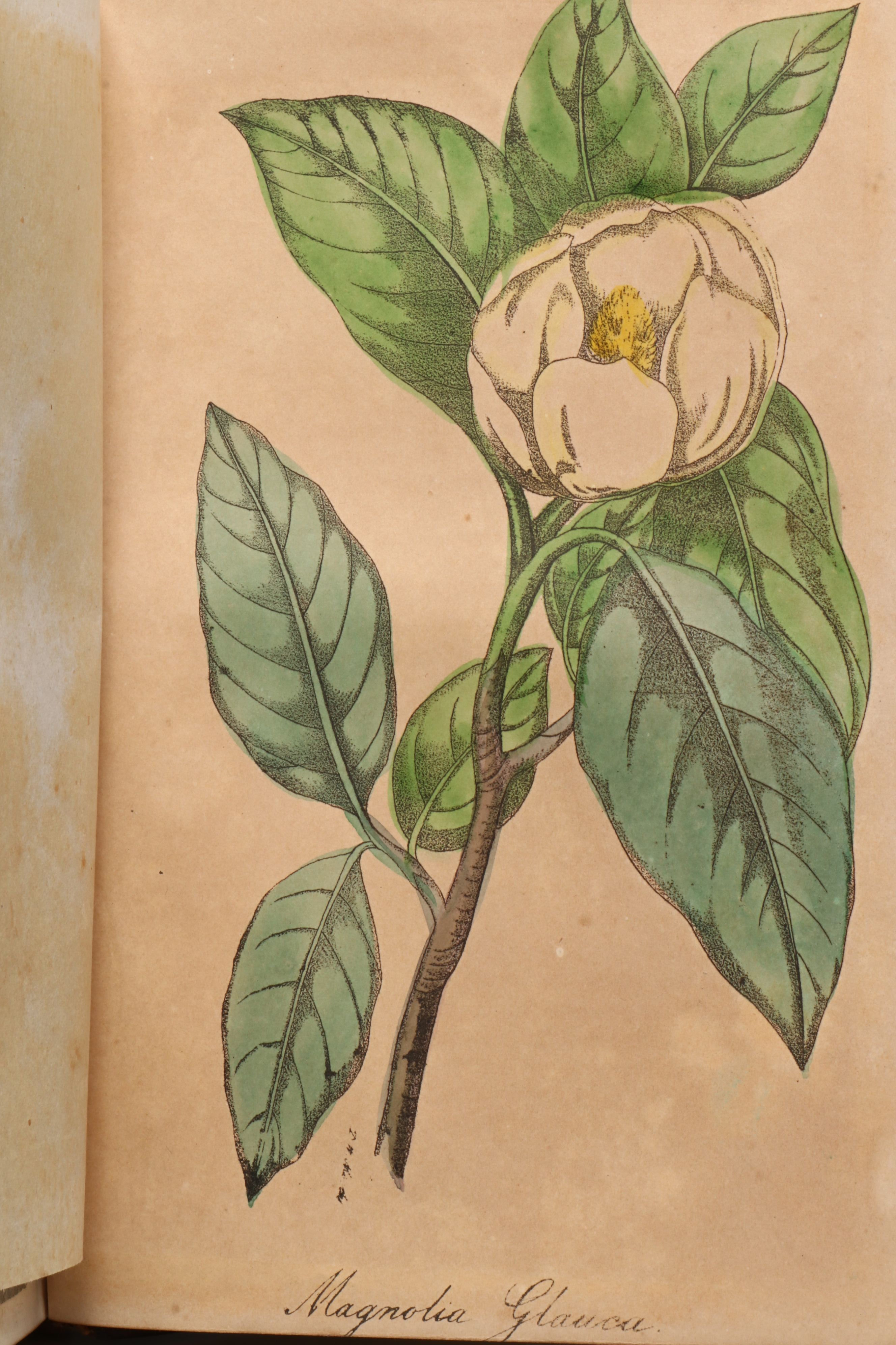 "The Golden Keepsake, or Ladies' Wreath: A Gift for All Seasons," Mid-19th C.