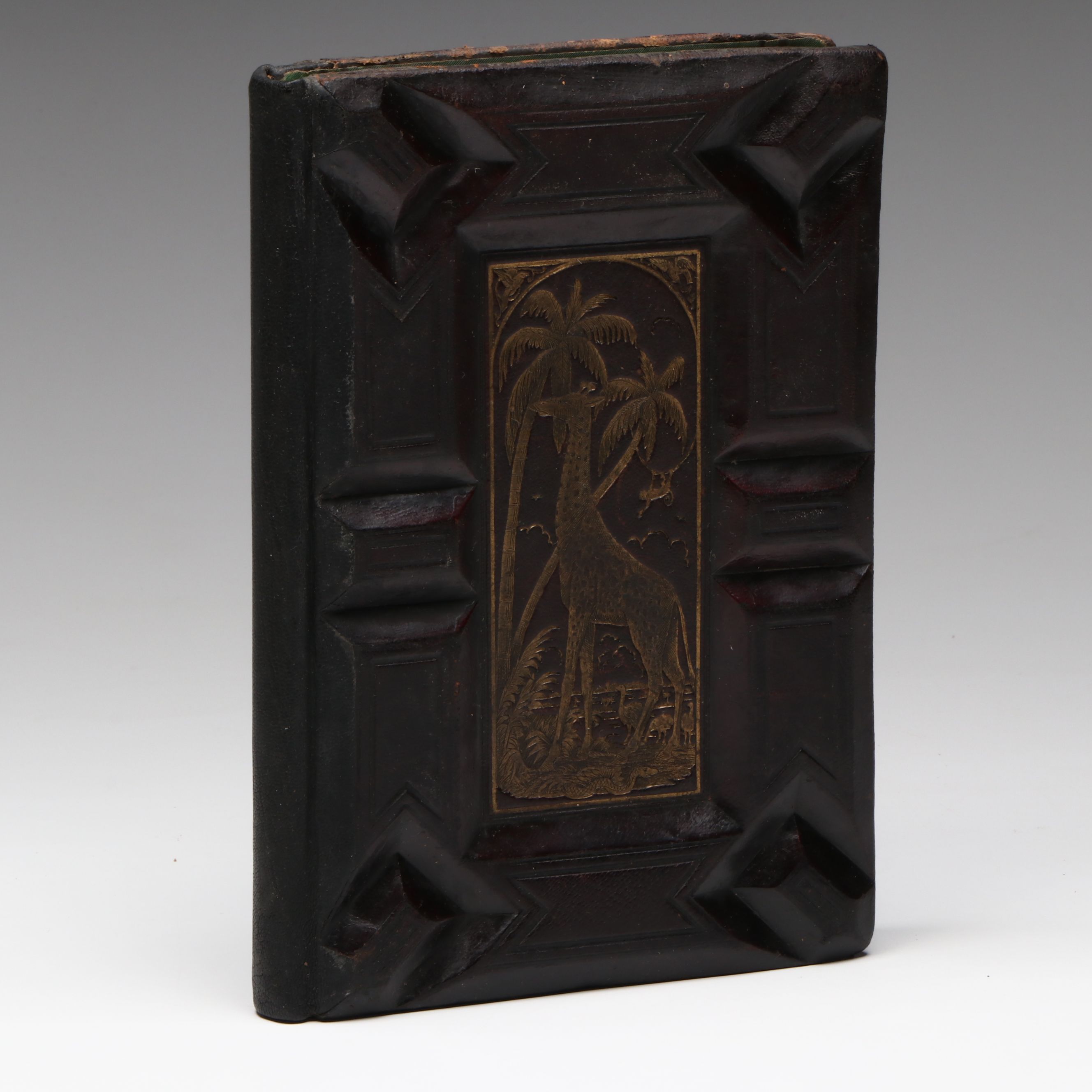 "The Animal Kingdom; Its Varieties and Oddities" by W. Bingley, Late 19th C.