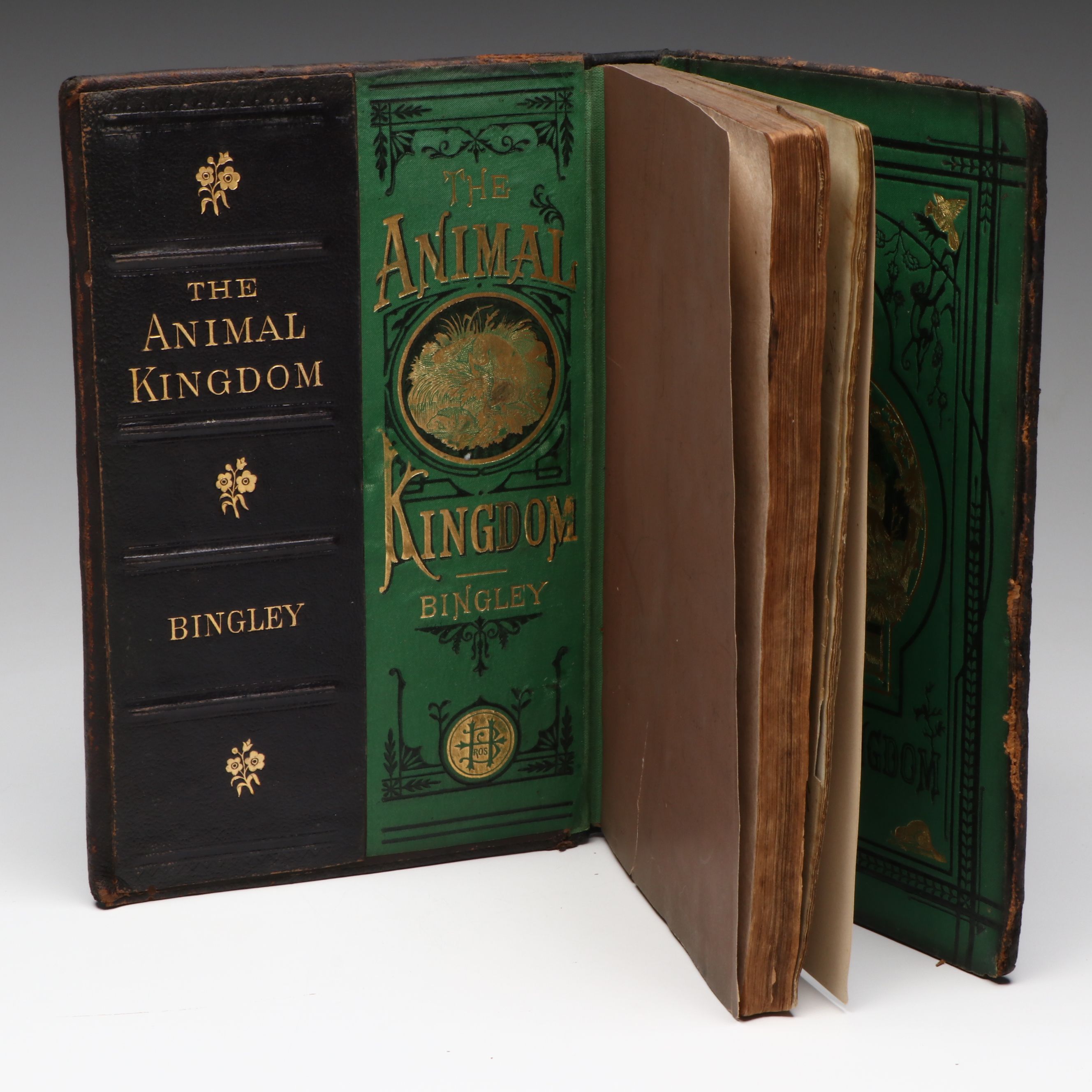 "The Animal Kingdom; Its Varieties and Oddities" by W. Bingley, Late 19th C.